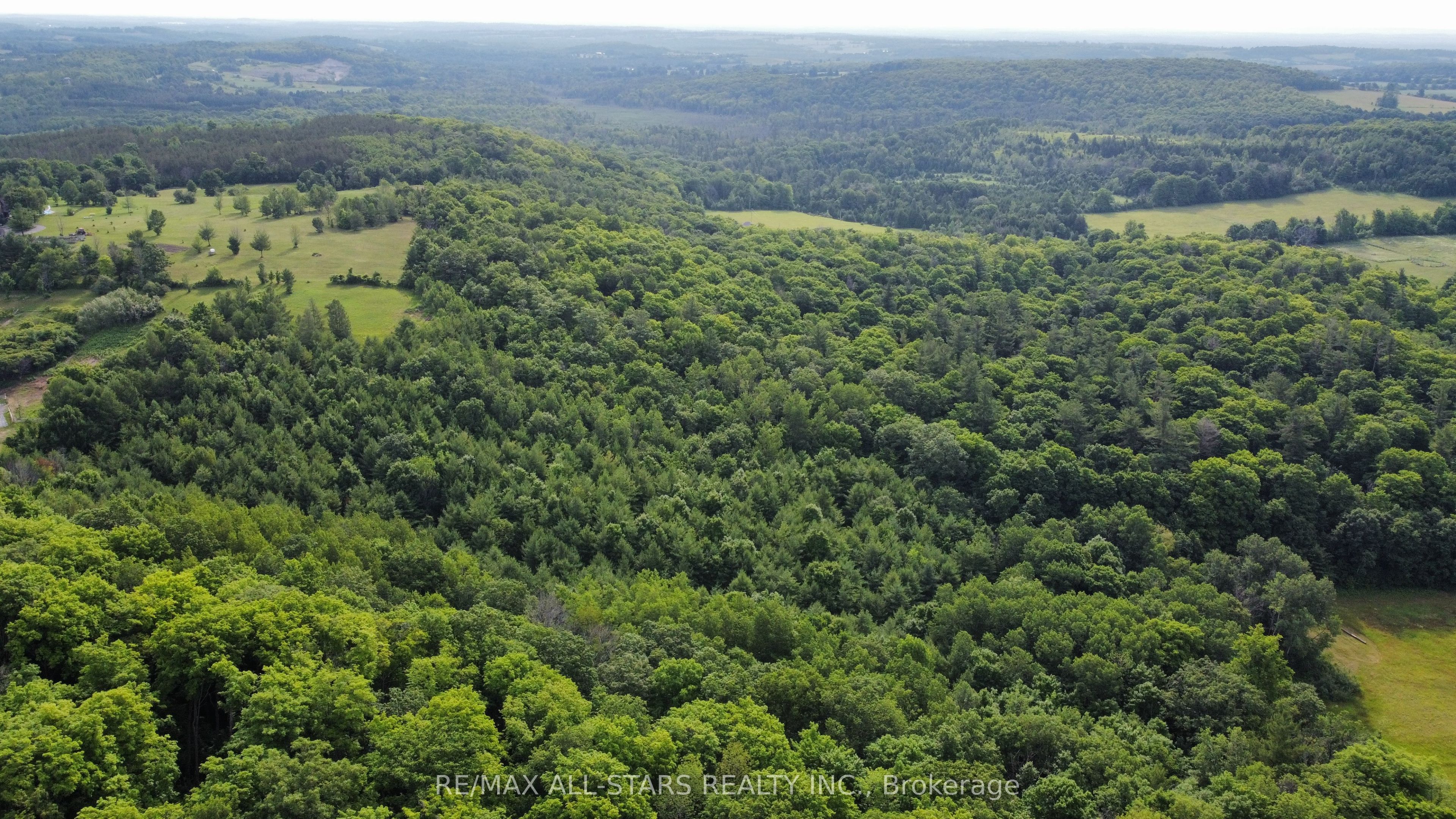 283 Bland Line Property Photo 11