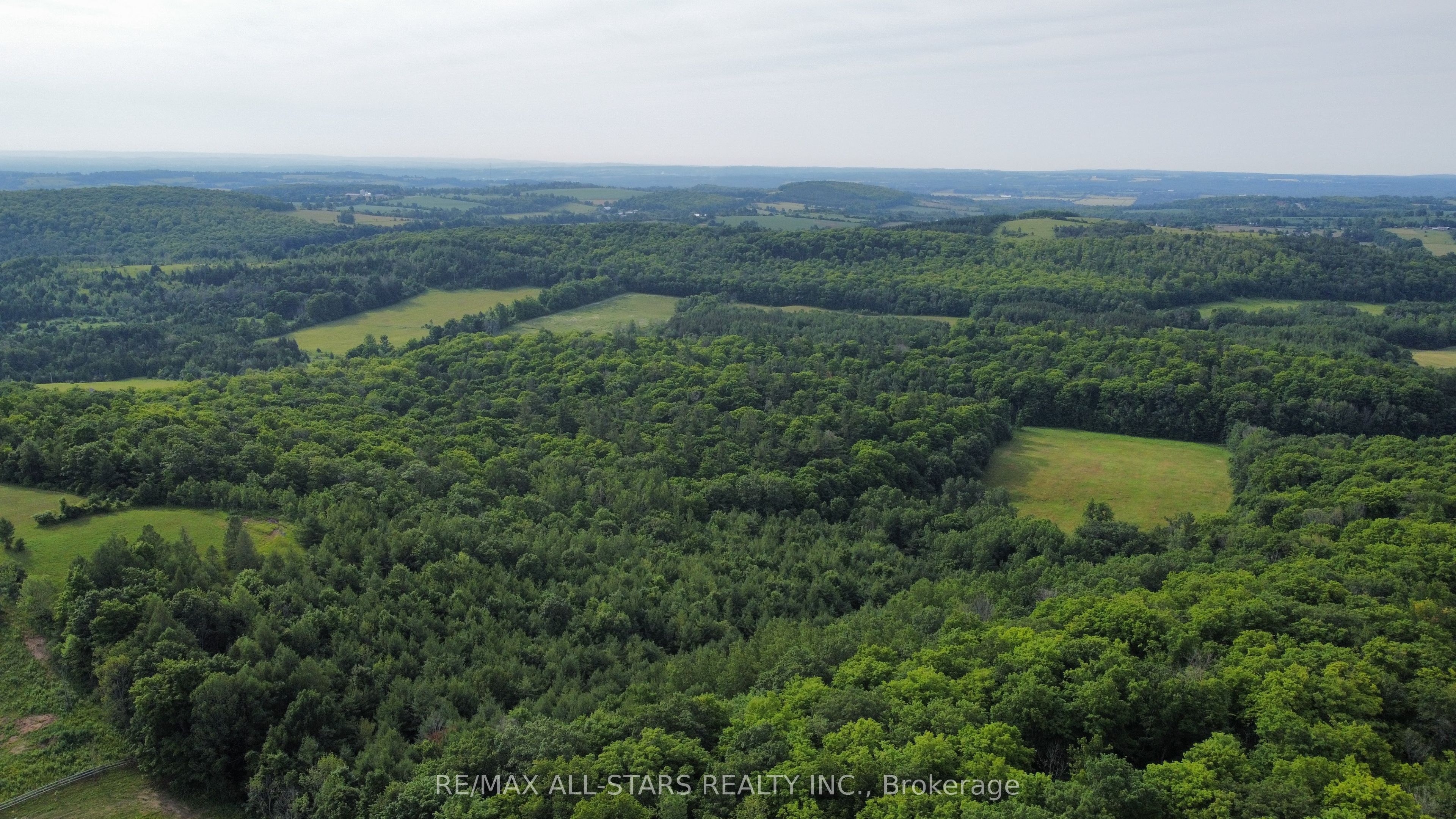 283 Bland Line Property Photo 12