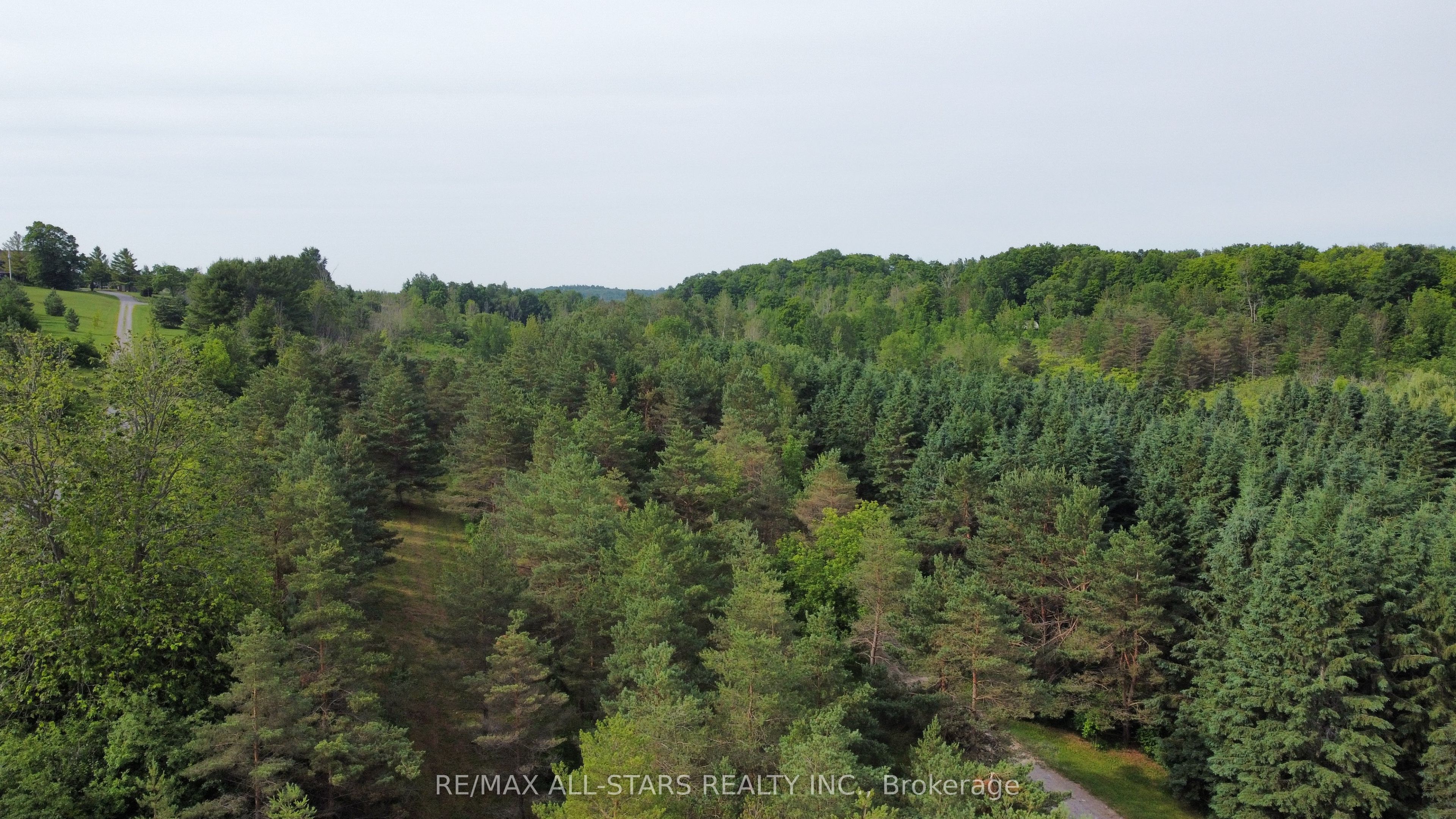 283 Bland Line Property Photo 14