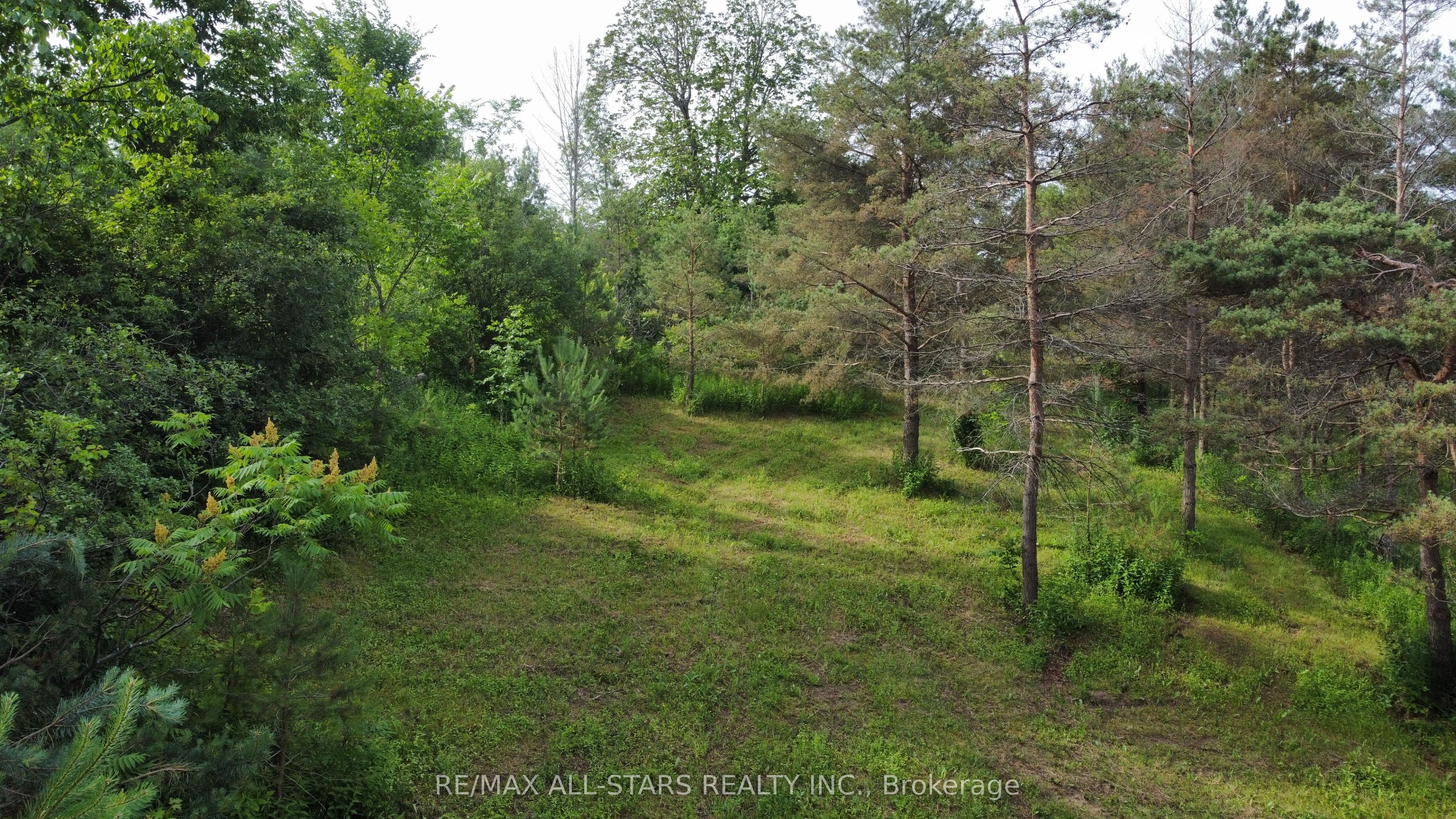 283 Bland Line Property Photo 15