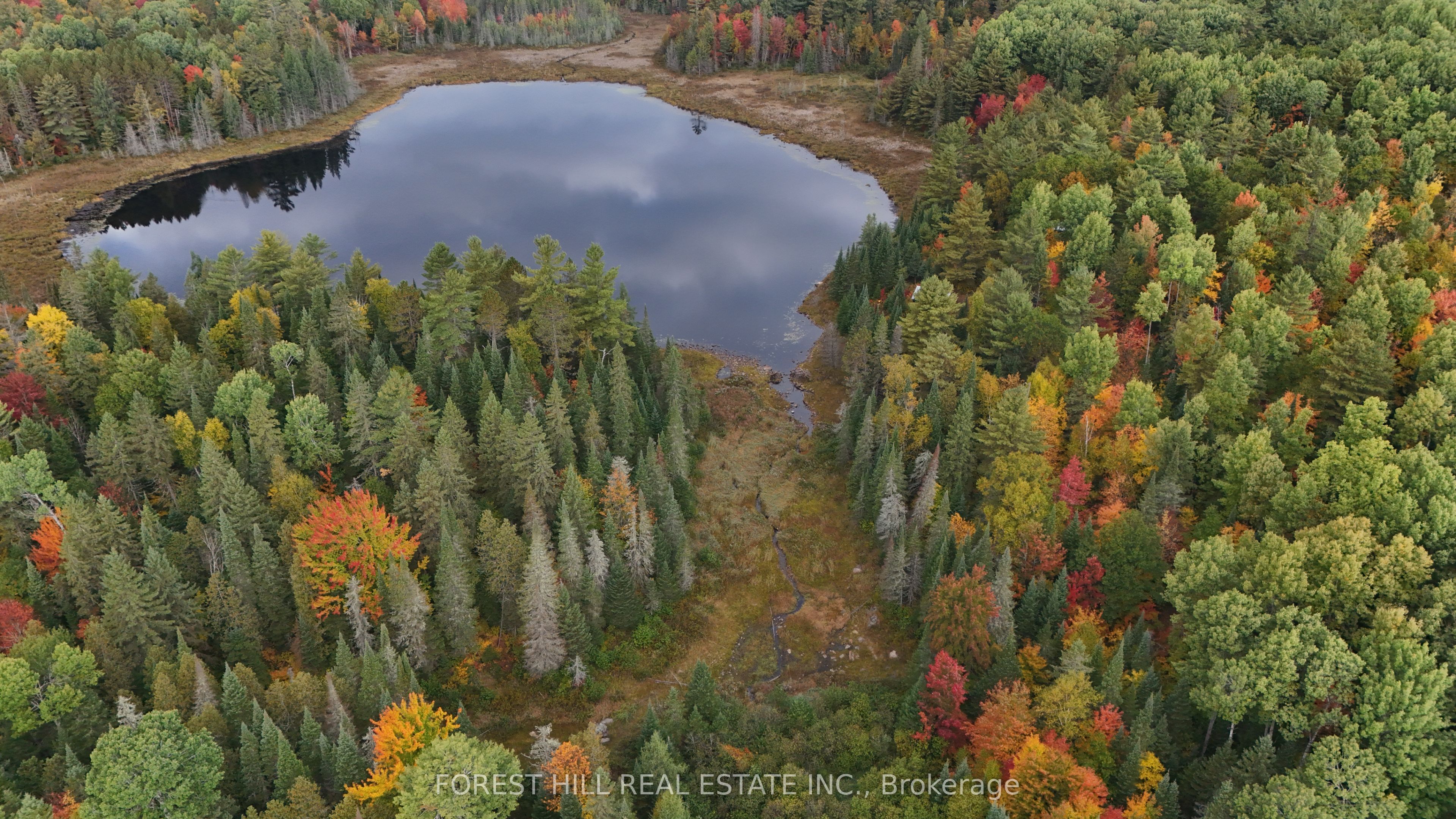 675 Dore Bay Road Property Photo 6