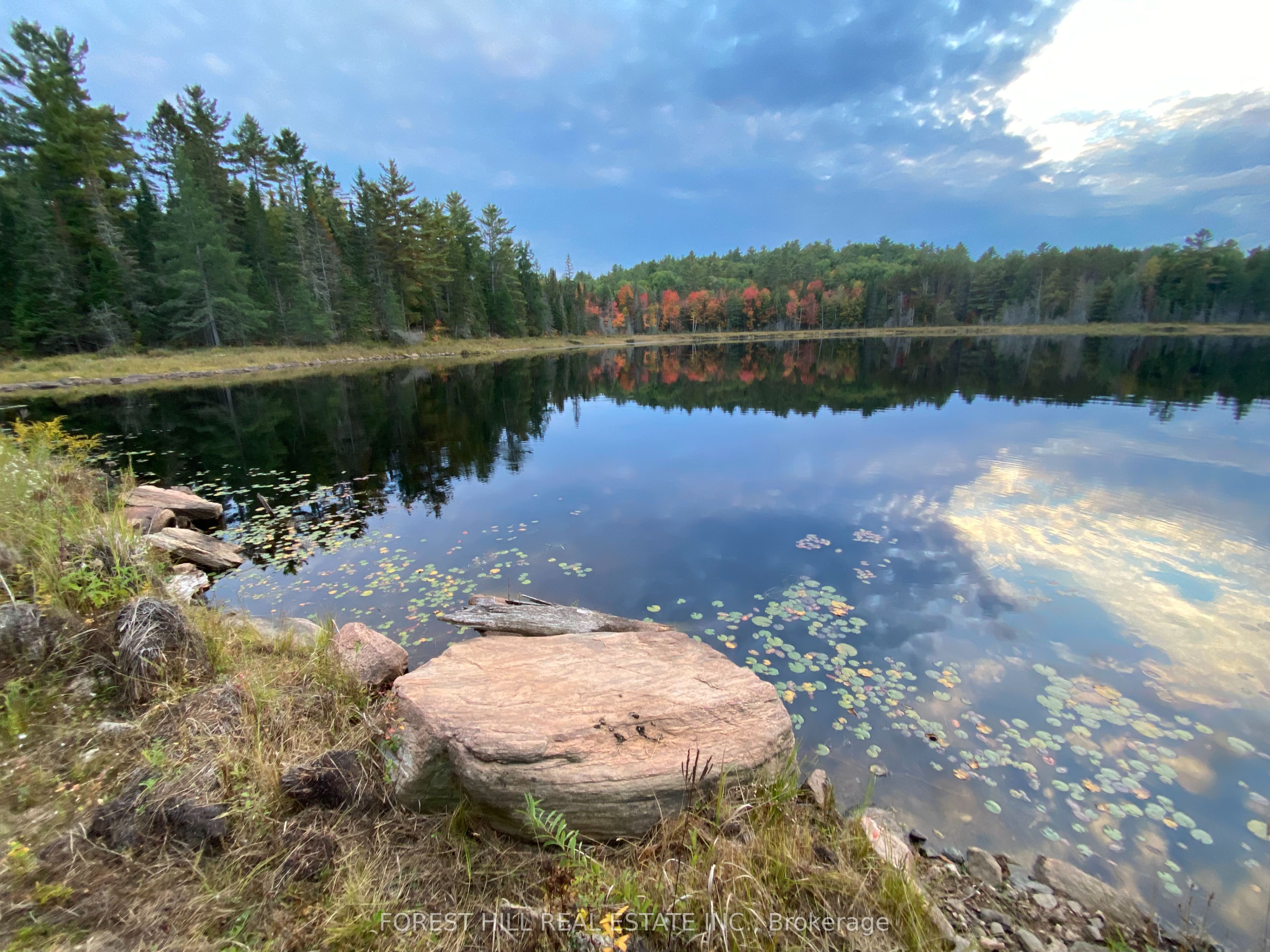 675 Dore Bay Road Property Photo 25