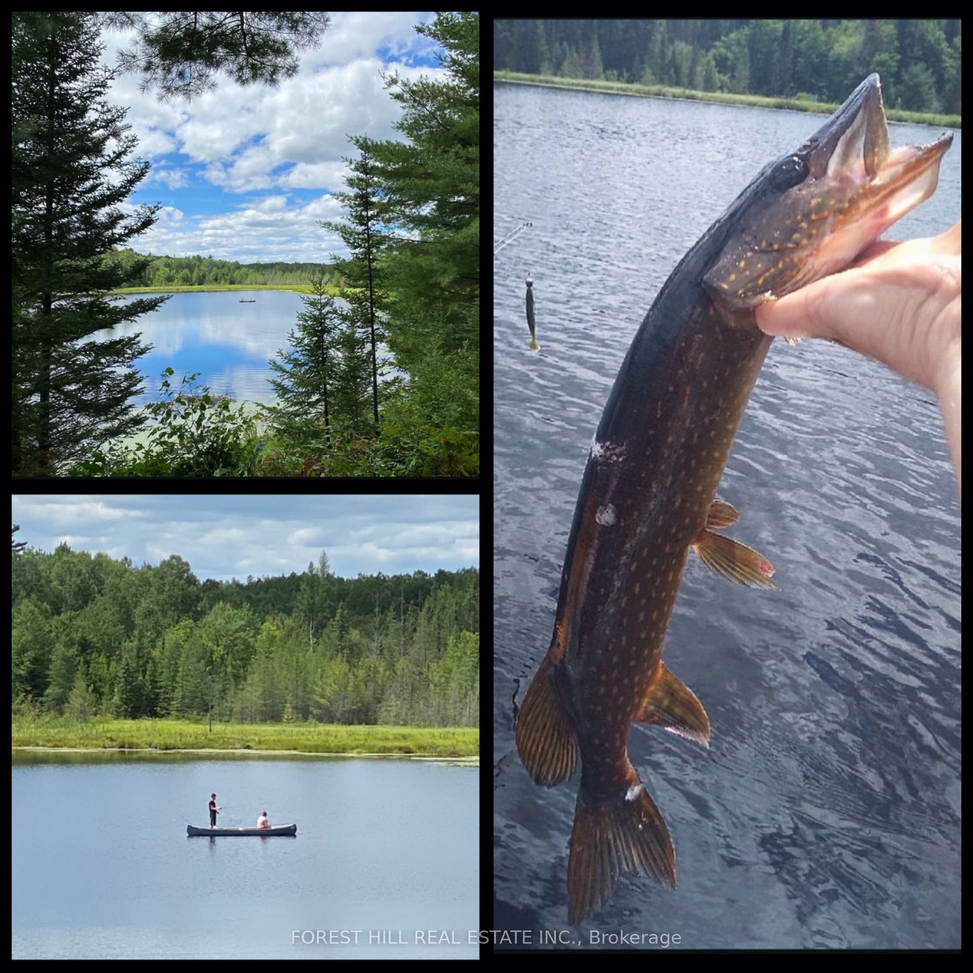 675 Dore Bay Road Property Photo 33