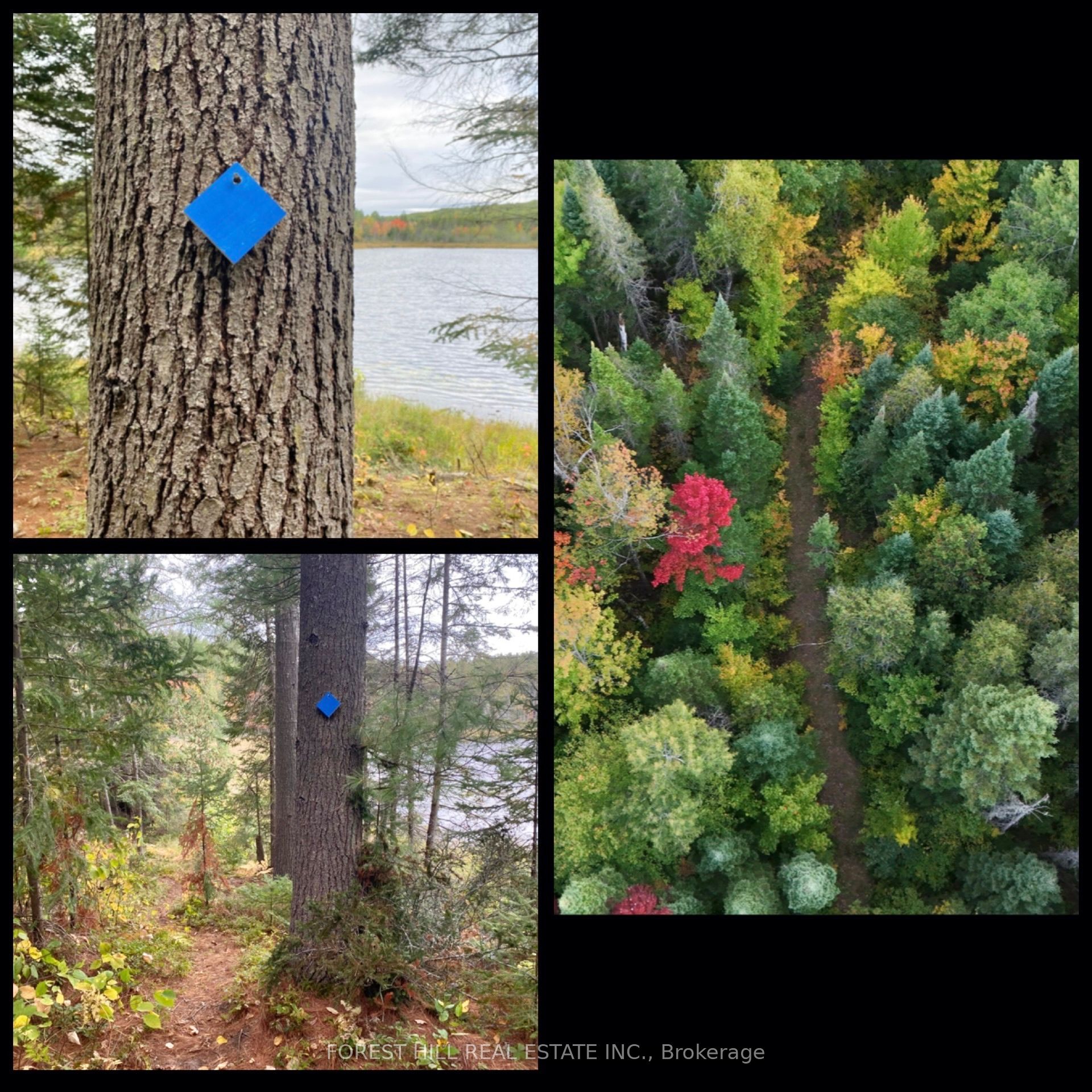 675 Dore Bay Road Property Photo 34