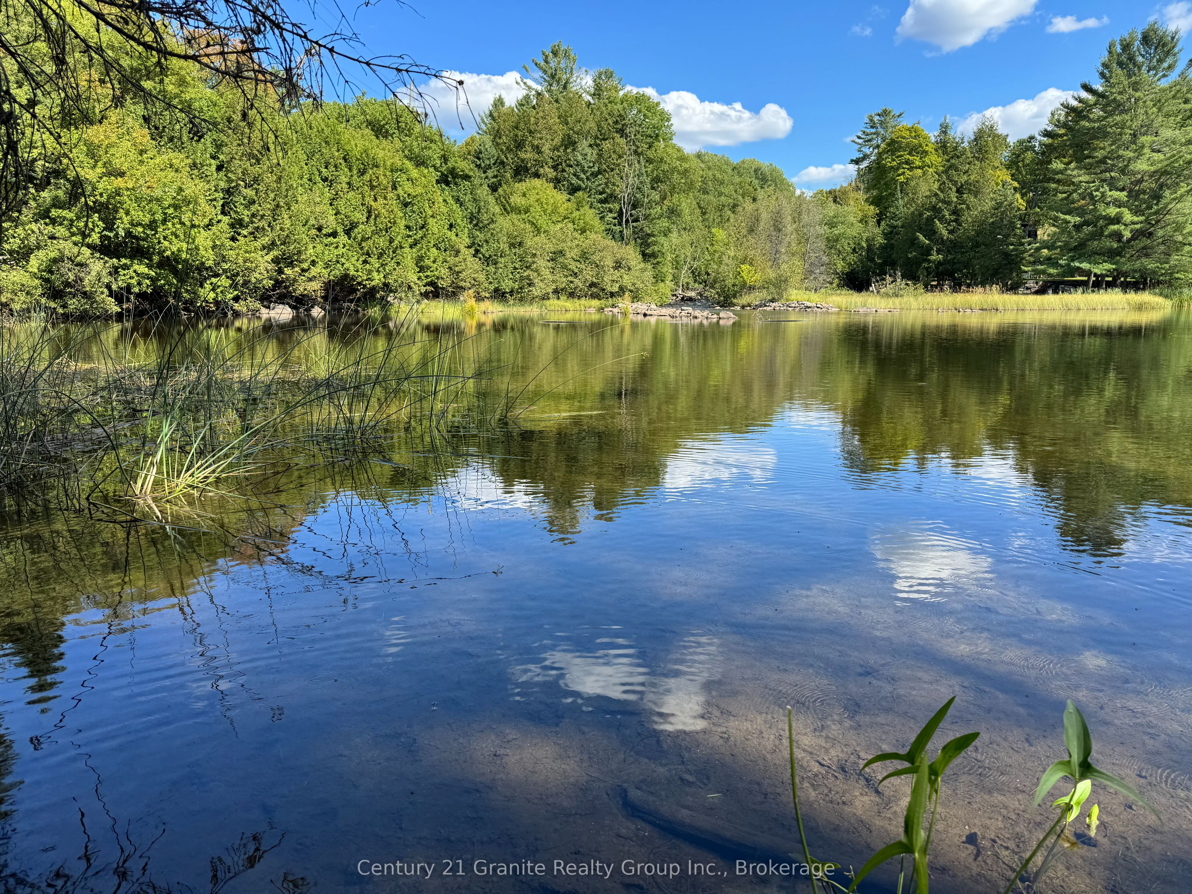 50 Riverside Drive Property Photo 44