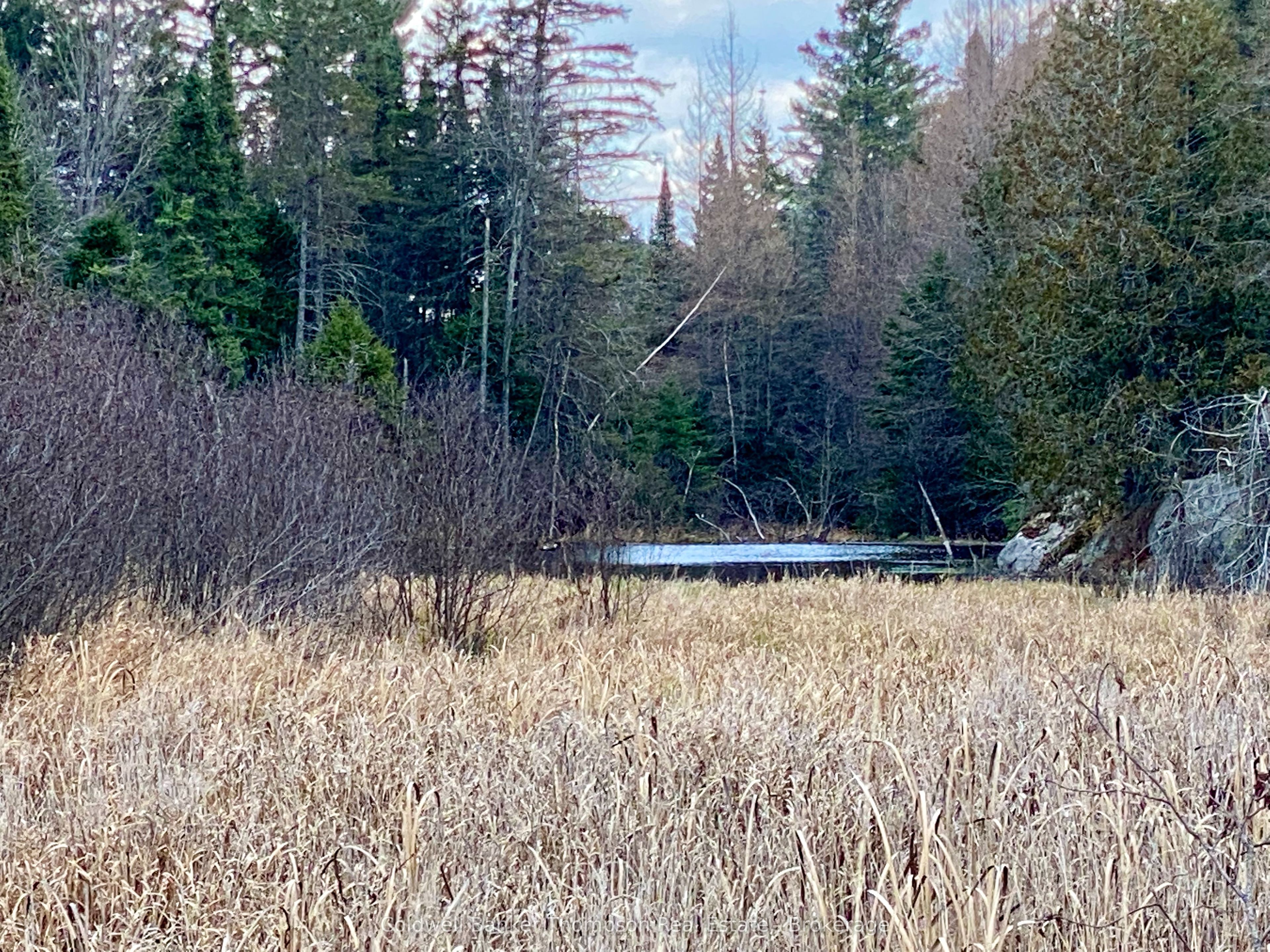 Lot 0-b Legrou's Lake Road Property Photo 2