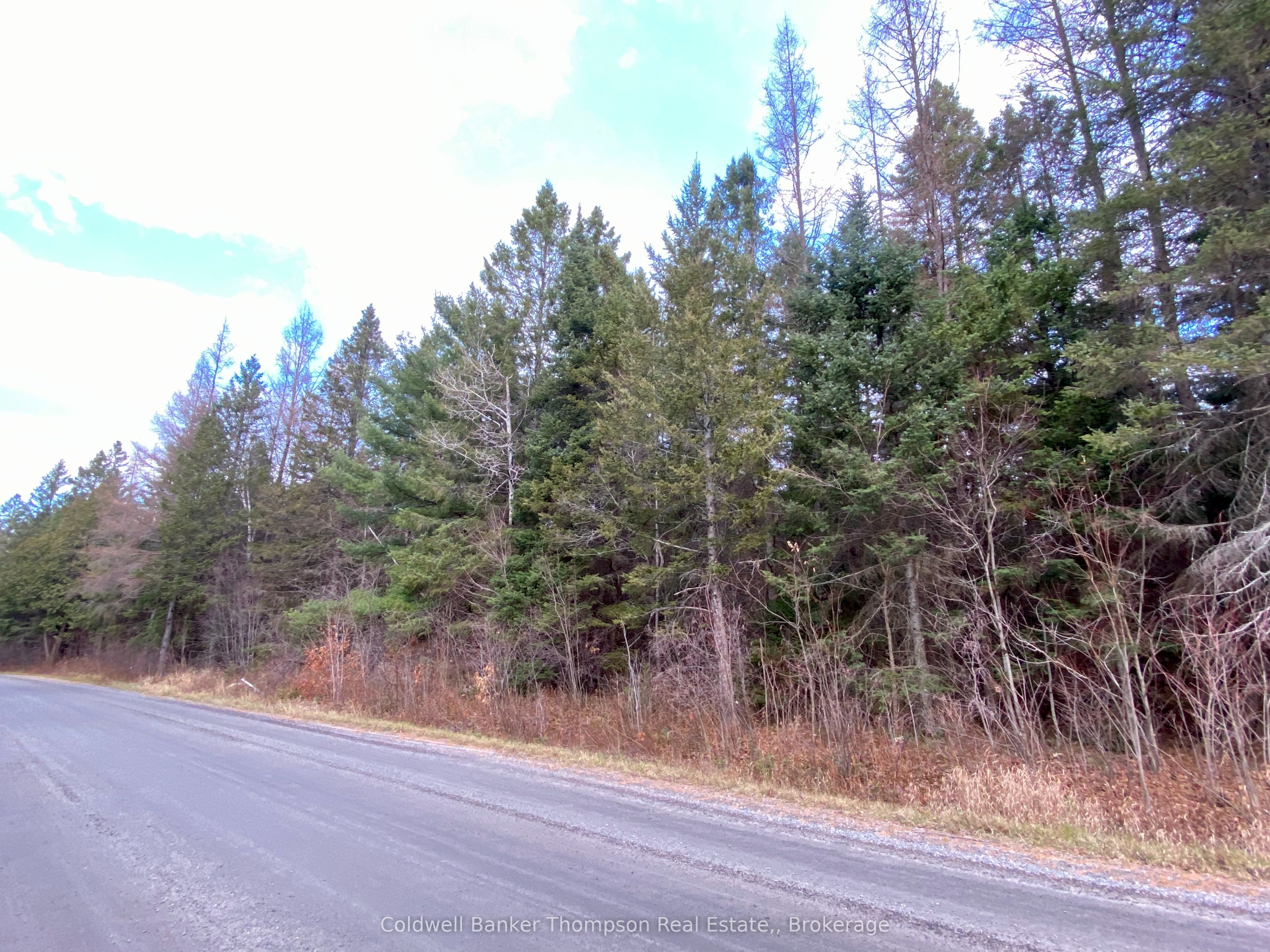 Lot 0-b Legrou's Lake Road Property Photo 3