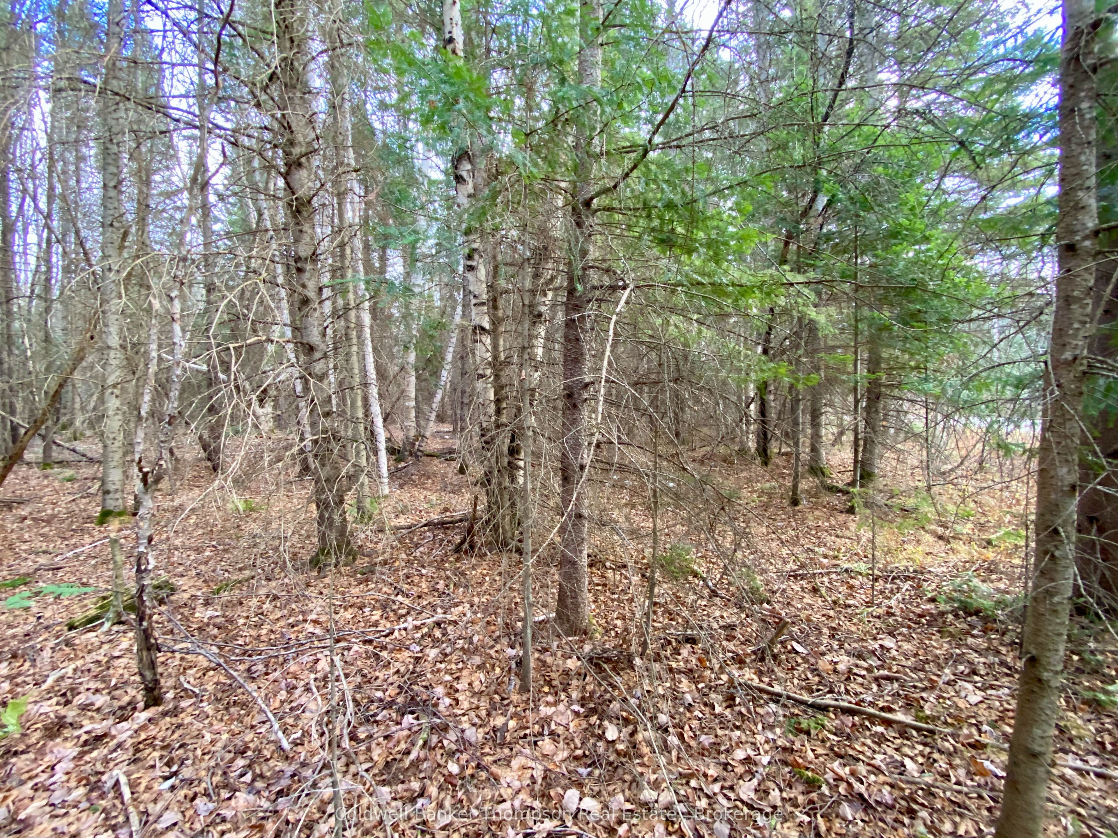 Lot 0-b Legrou's Lake Road Property Photo 5