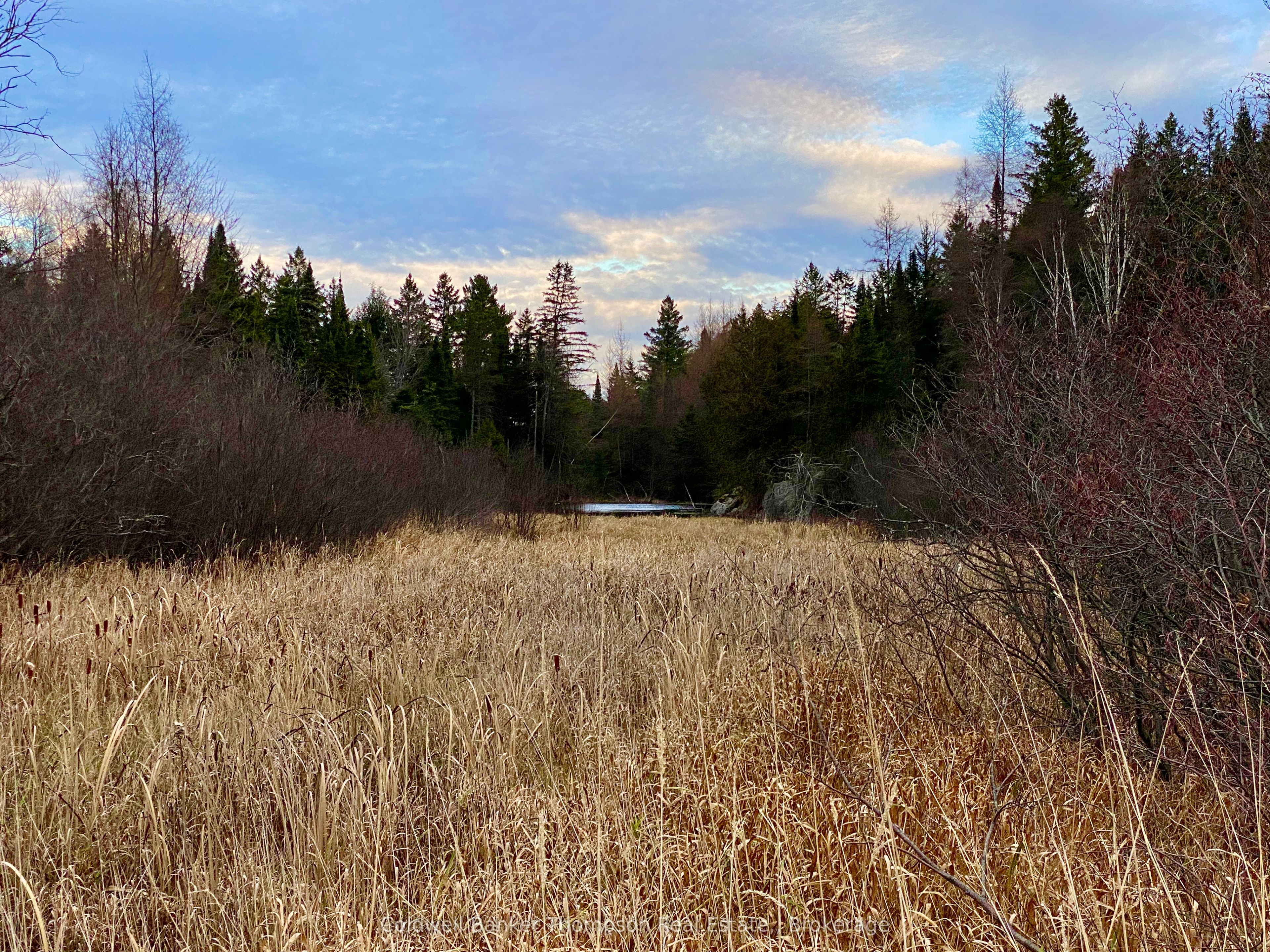 Lot 0-b Legrou's Lake Road Property Photo 7