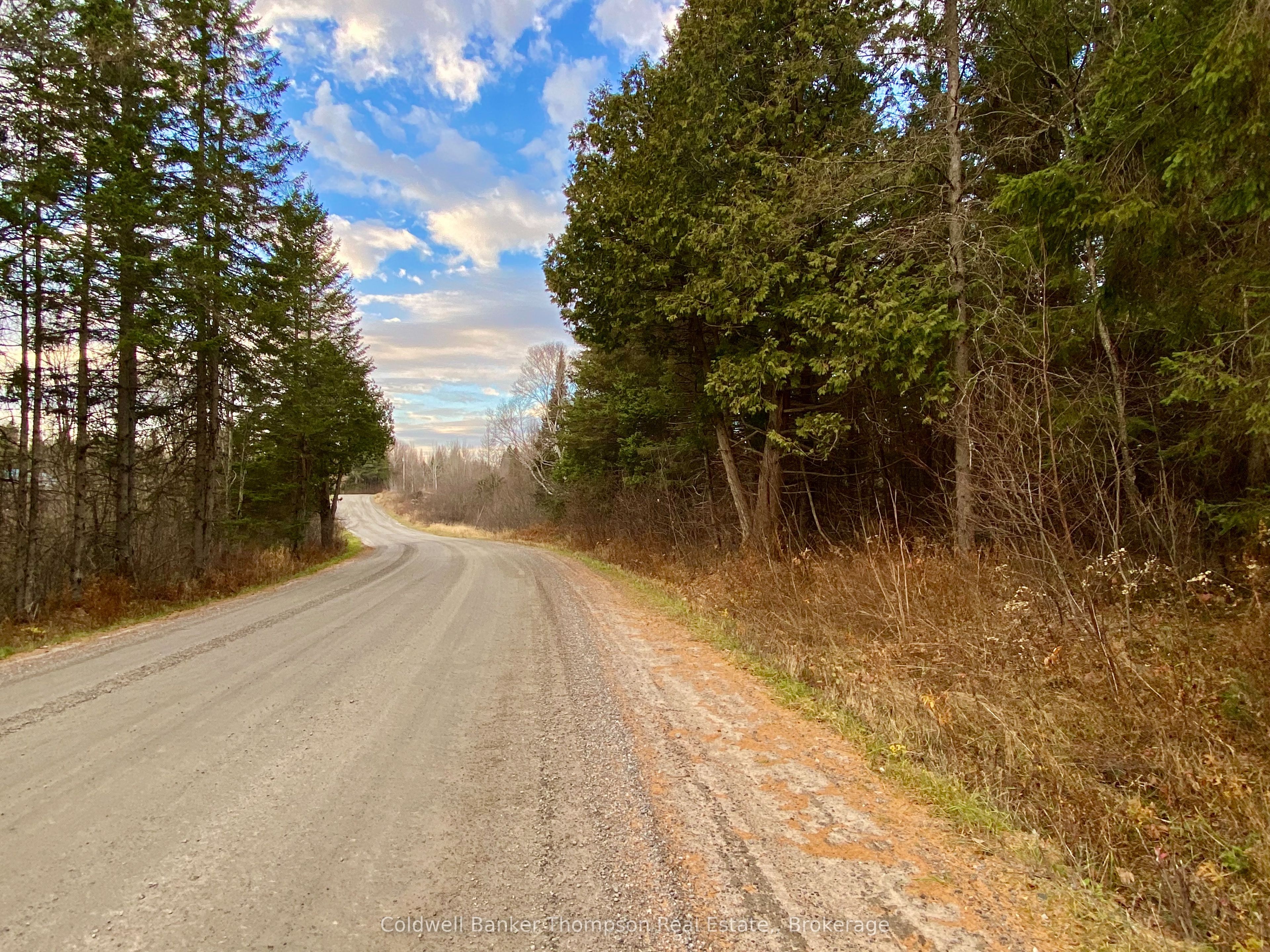 Lot 0-b Legrou's Lake Road Property Photo 8