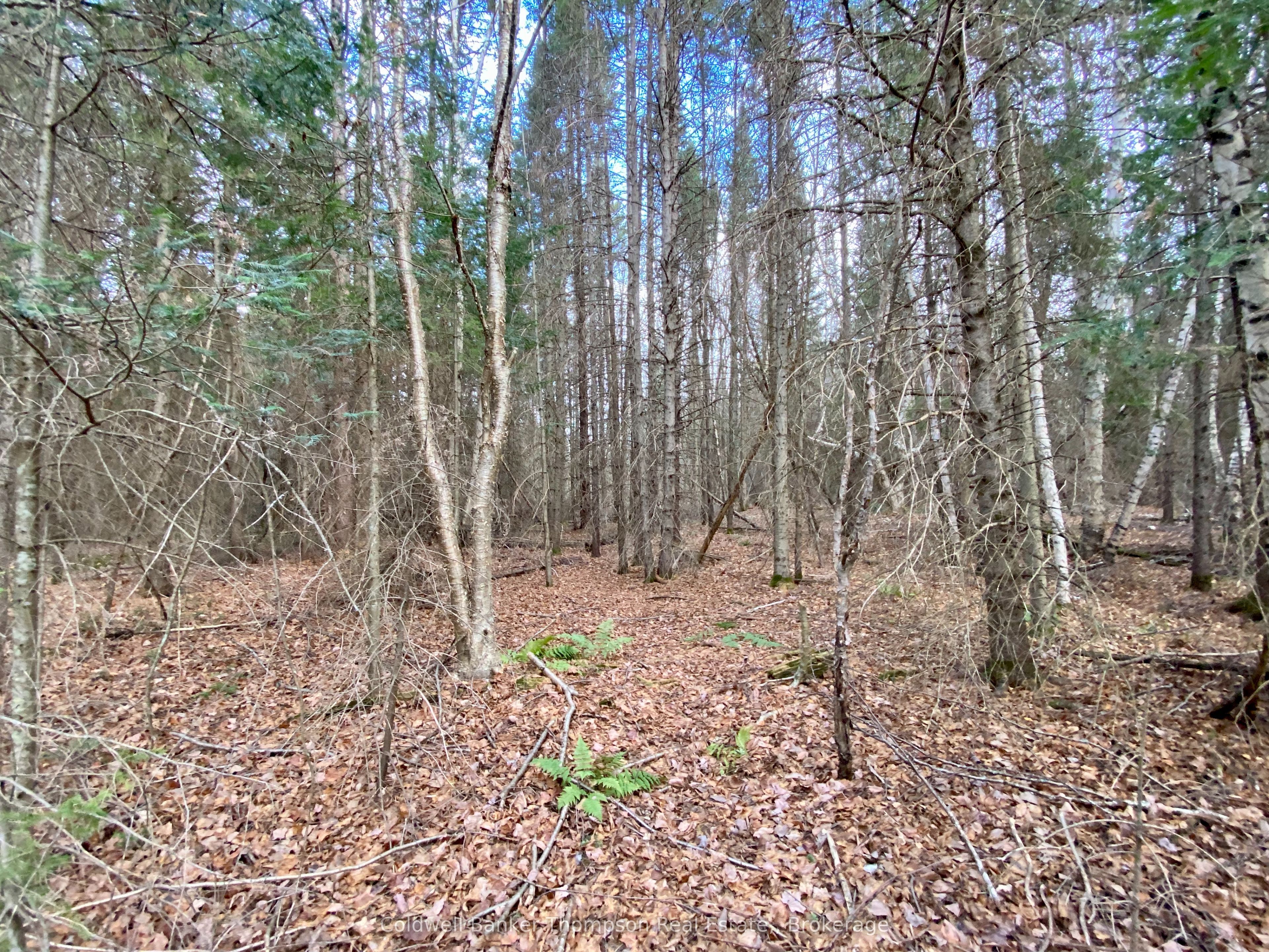 Lot 0-b Legrou's Lake Road Property Photo 9