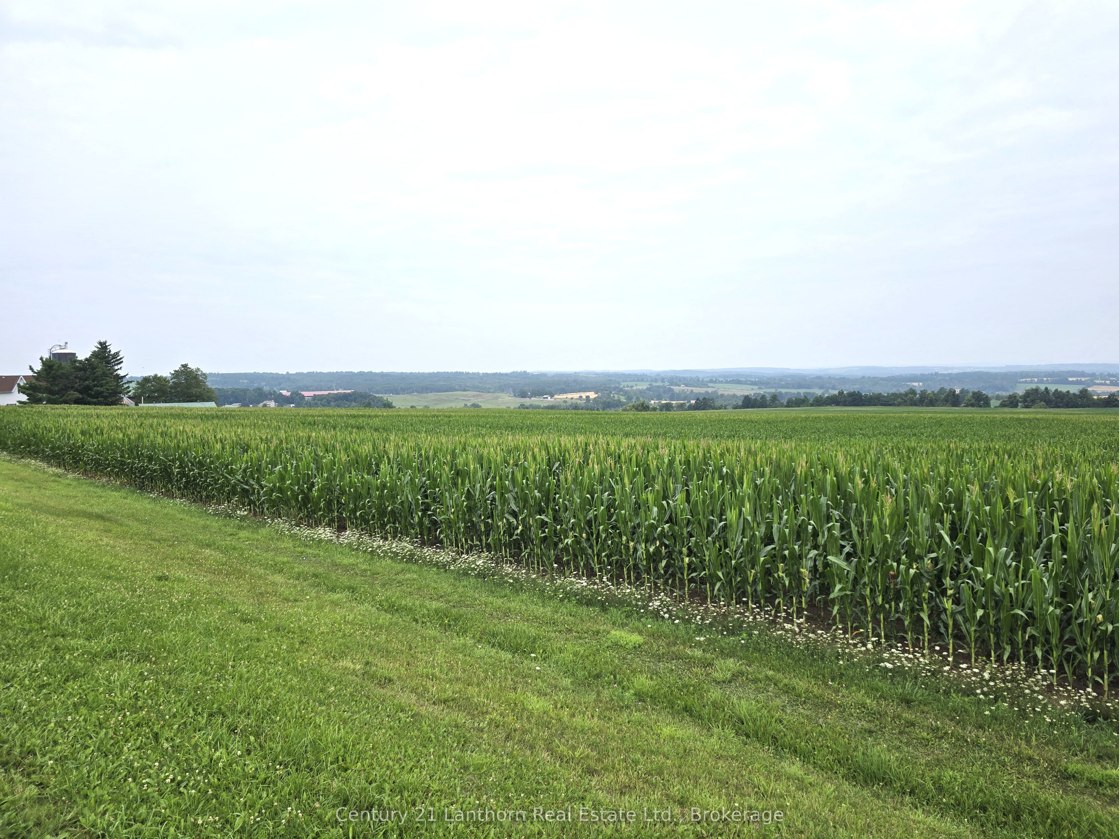 488297 30th Side Road Property Photo 2