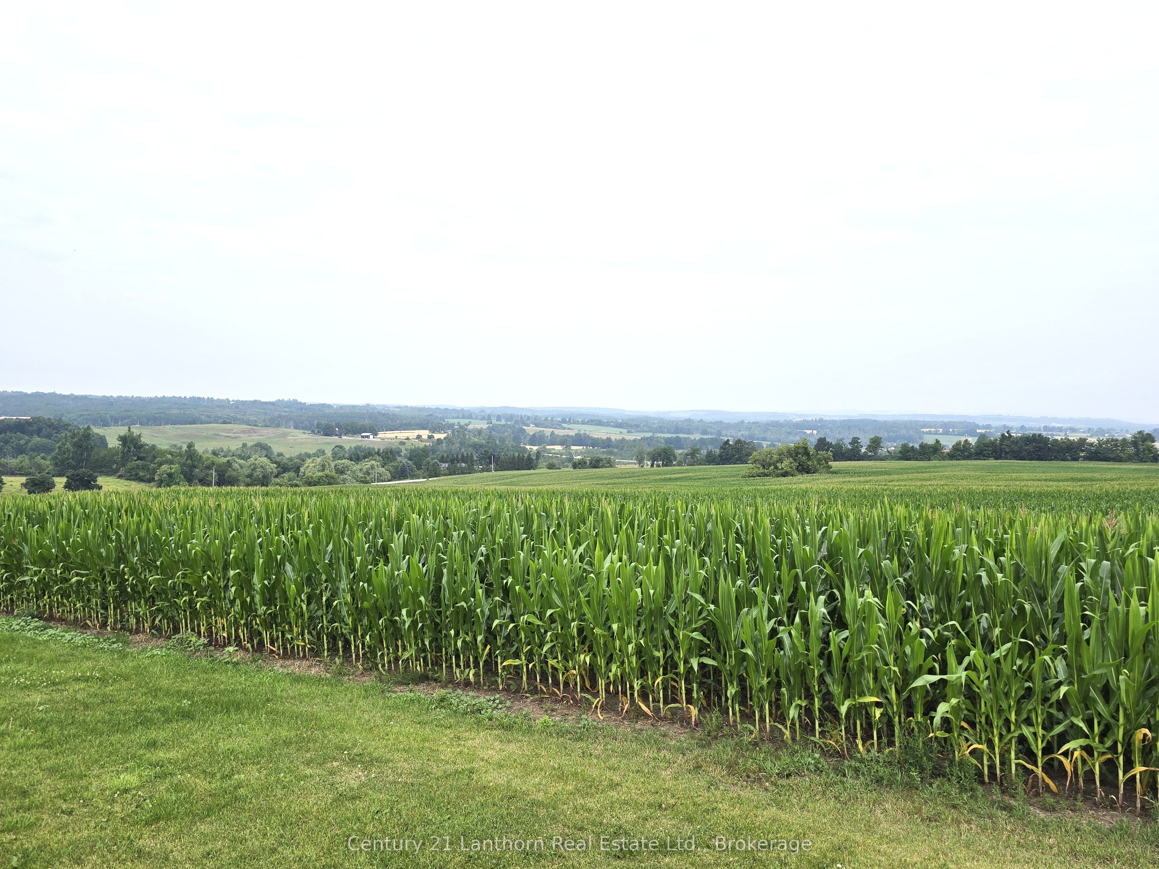 488297 30th Side Road Property Photo 4