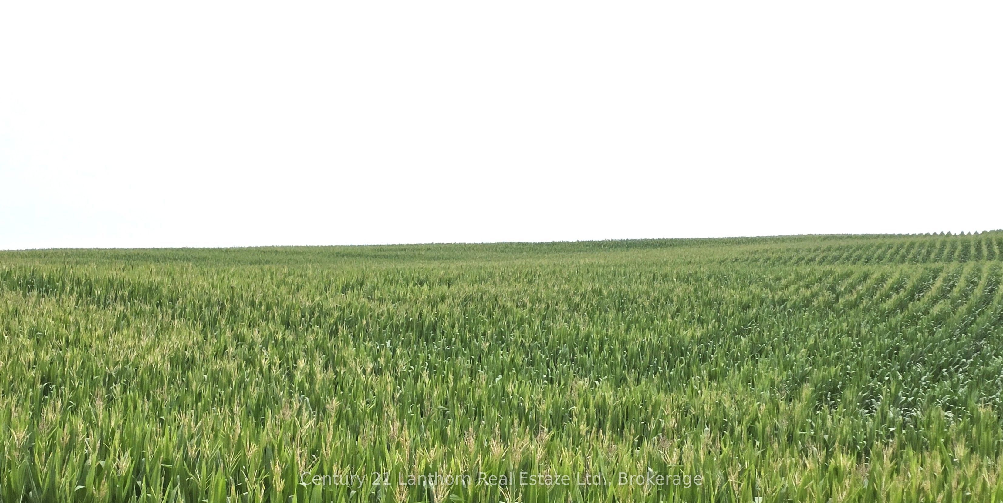 488297 30th Side Road Property Photo 7