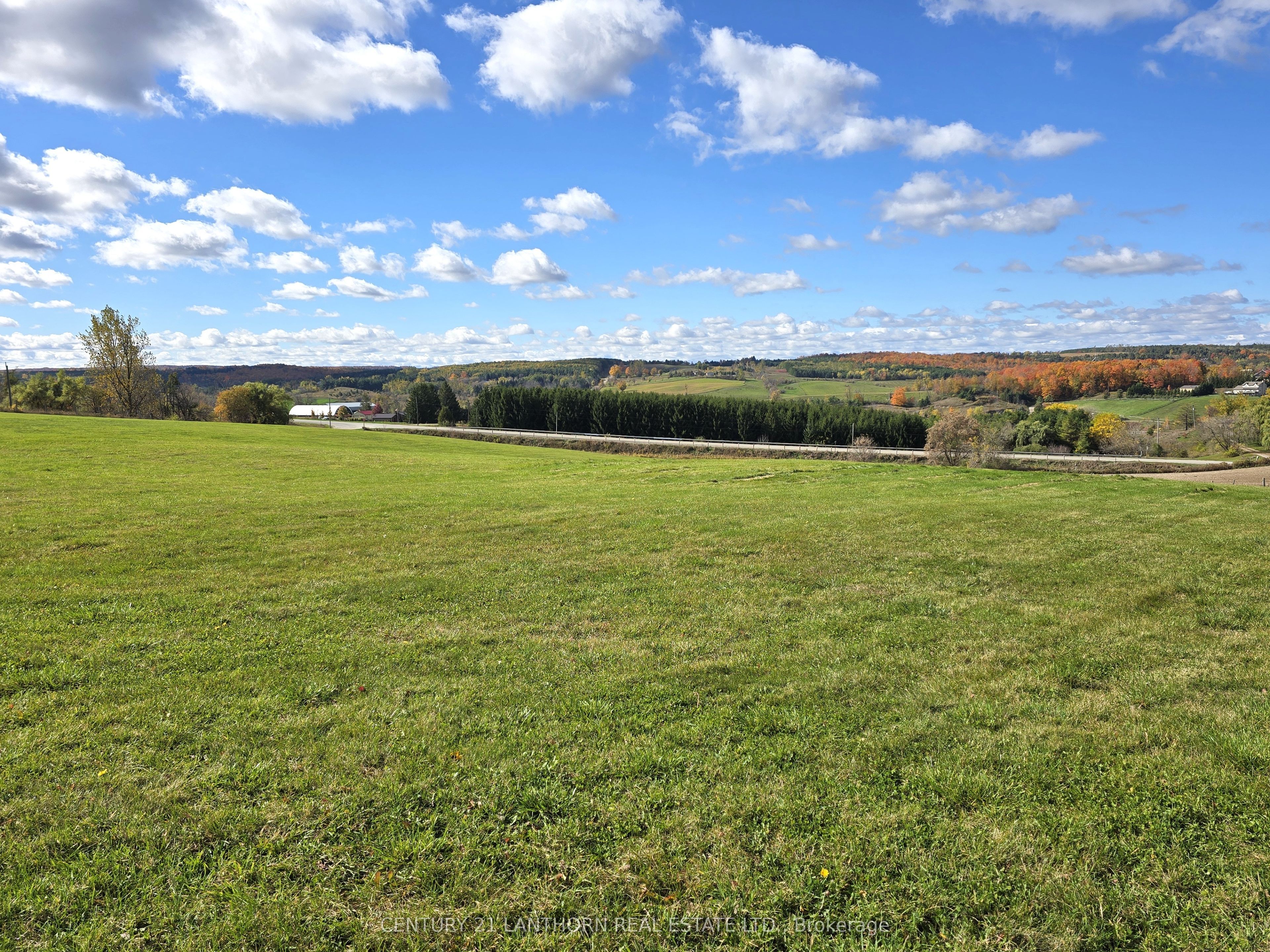 488297 30th Side Road Property Photo 8
