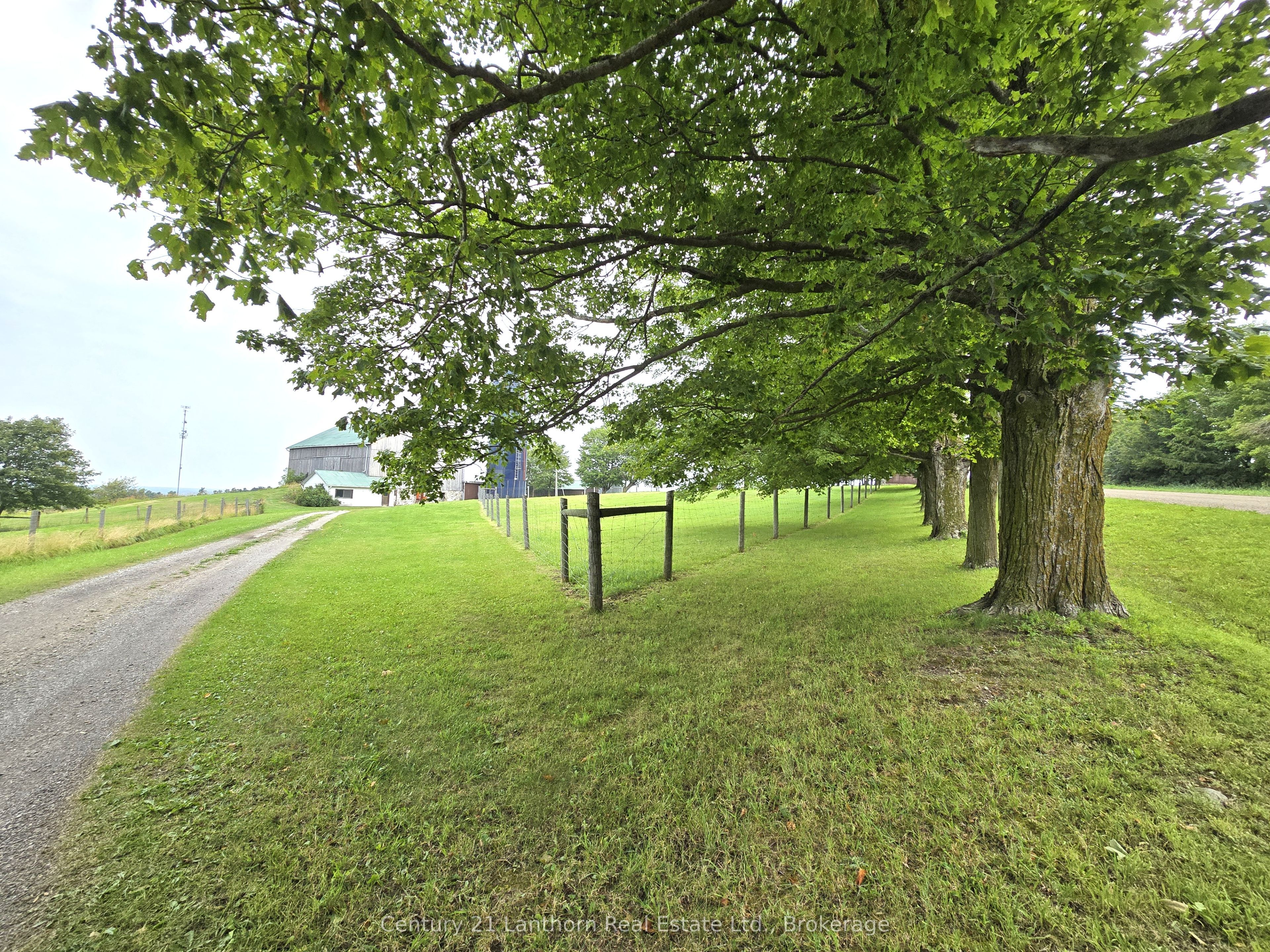 488297 30th Side Road Property Photo 49