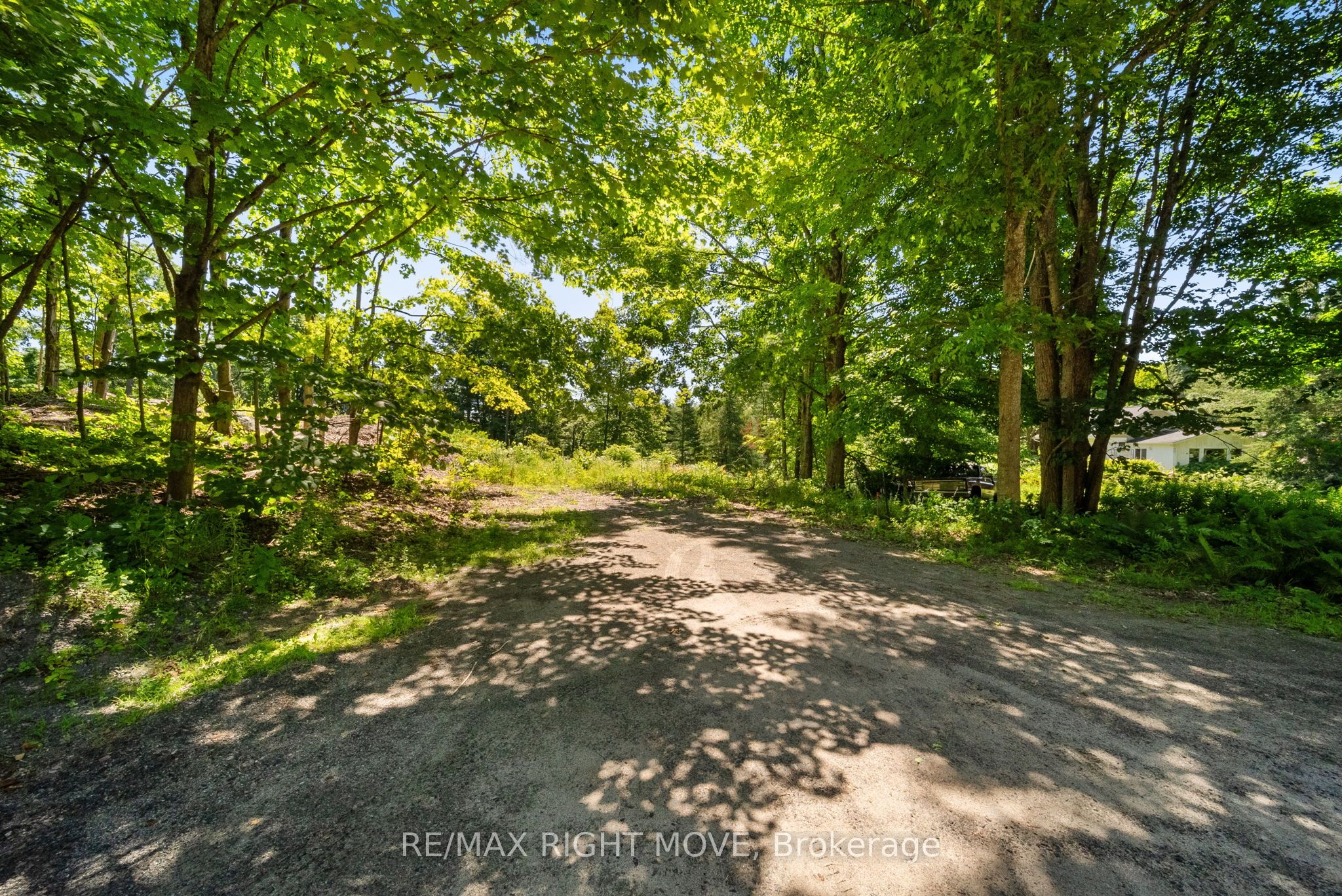 250 Pearl Dr Property Photo 1