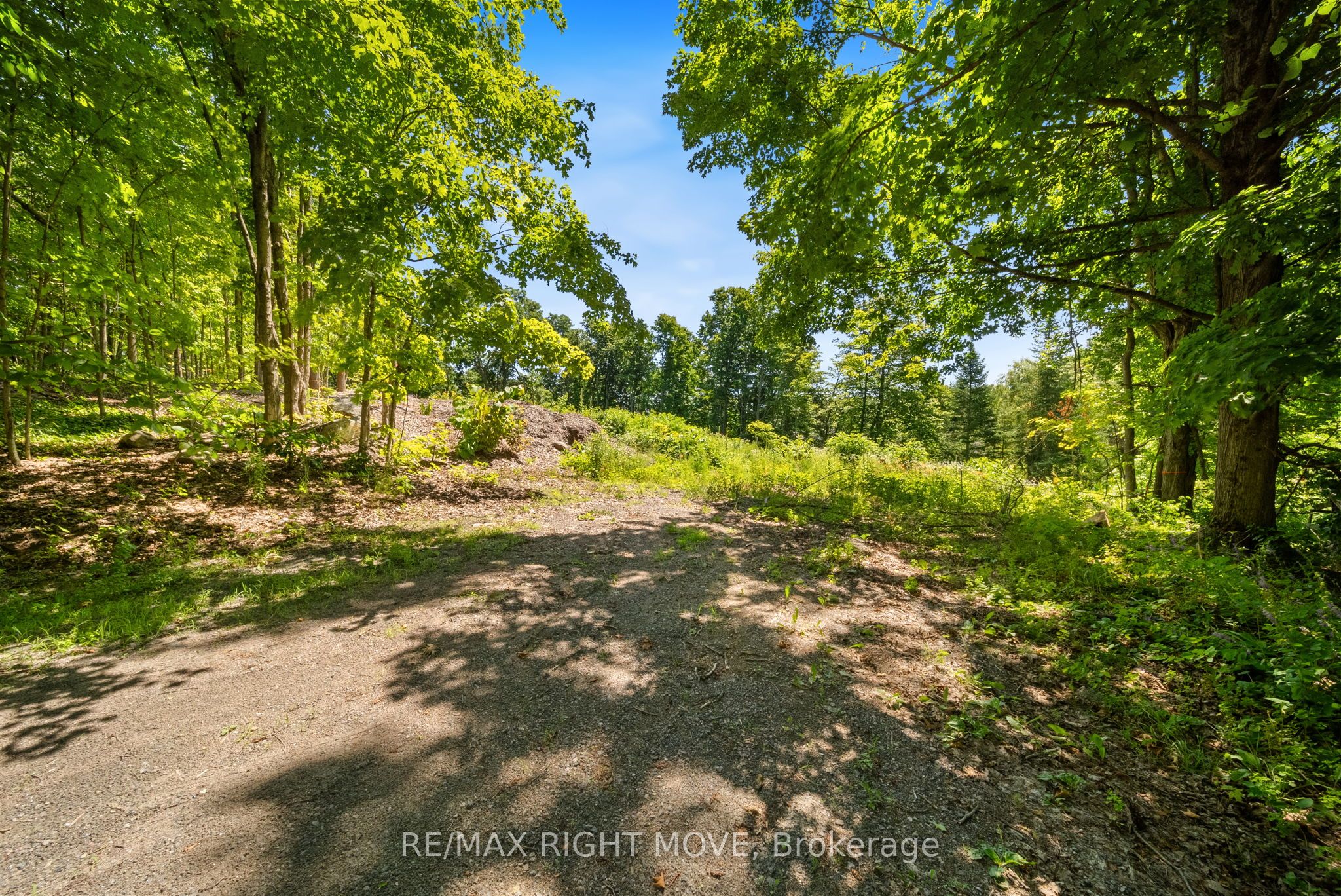 250 Pearl Dr Property Photo 2