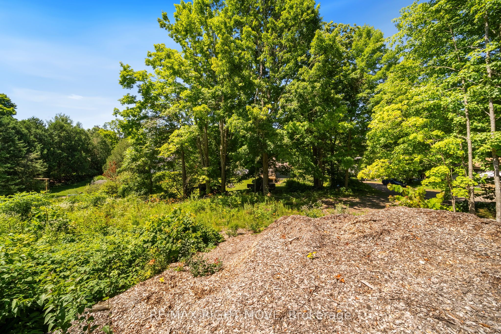 250 Pearl Dr Property Photo 3