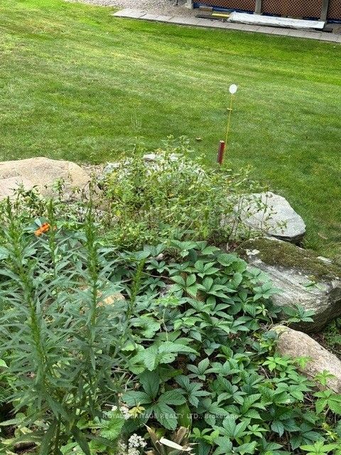 61 Marluc Avenue Property Photo 16