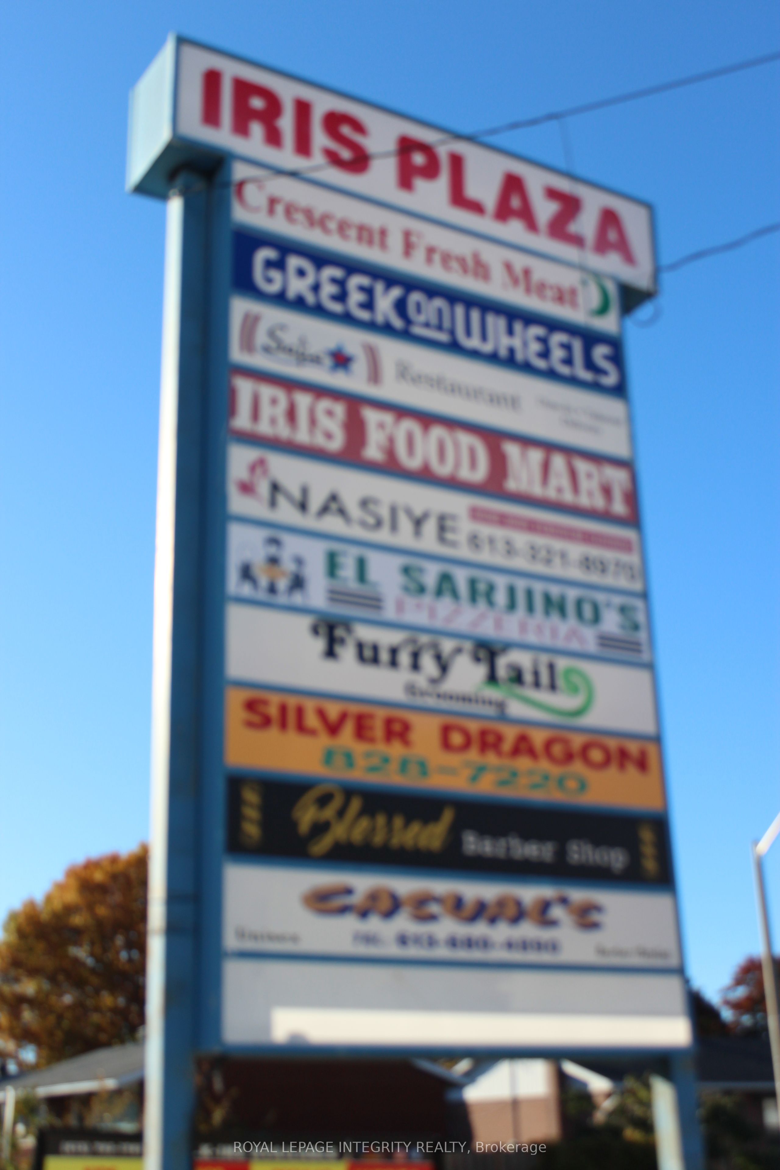 1117 Cobden Road Property Photo 2