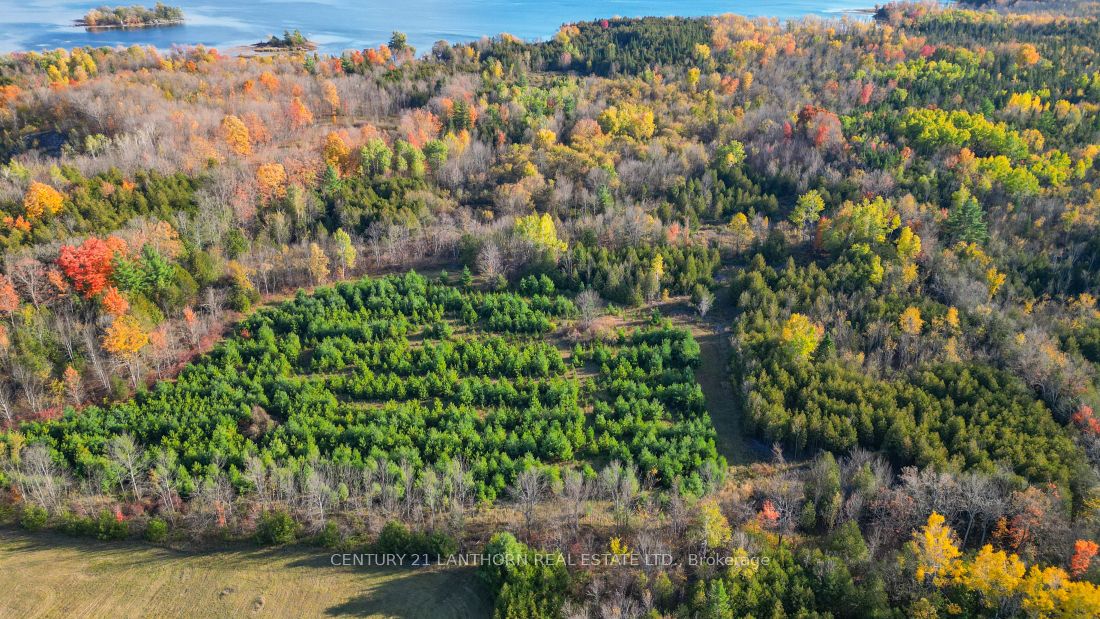 3 Acreman Road Property Photo 7