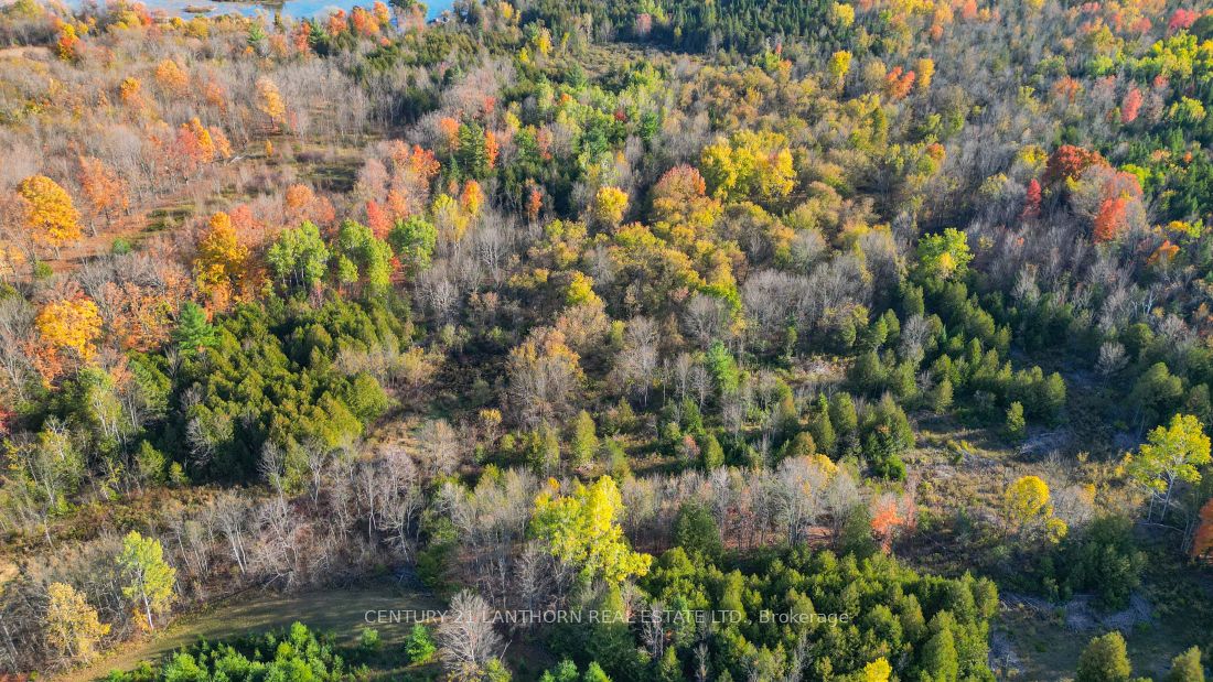 3 Acreman Road Property Photo 8