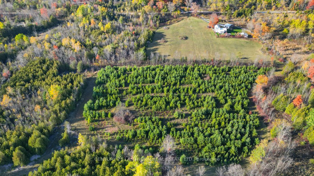 3 Acreman Road Property Photo 9