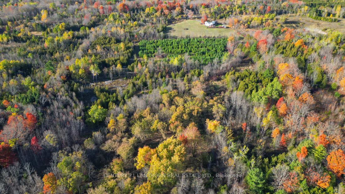 3 Acreman Road Property Photo 10