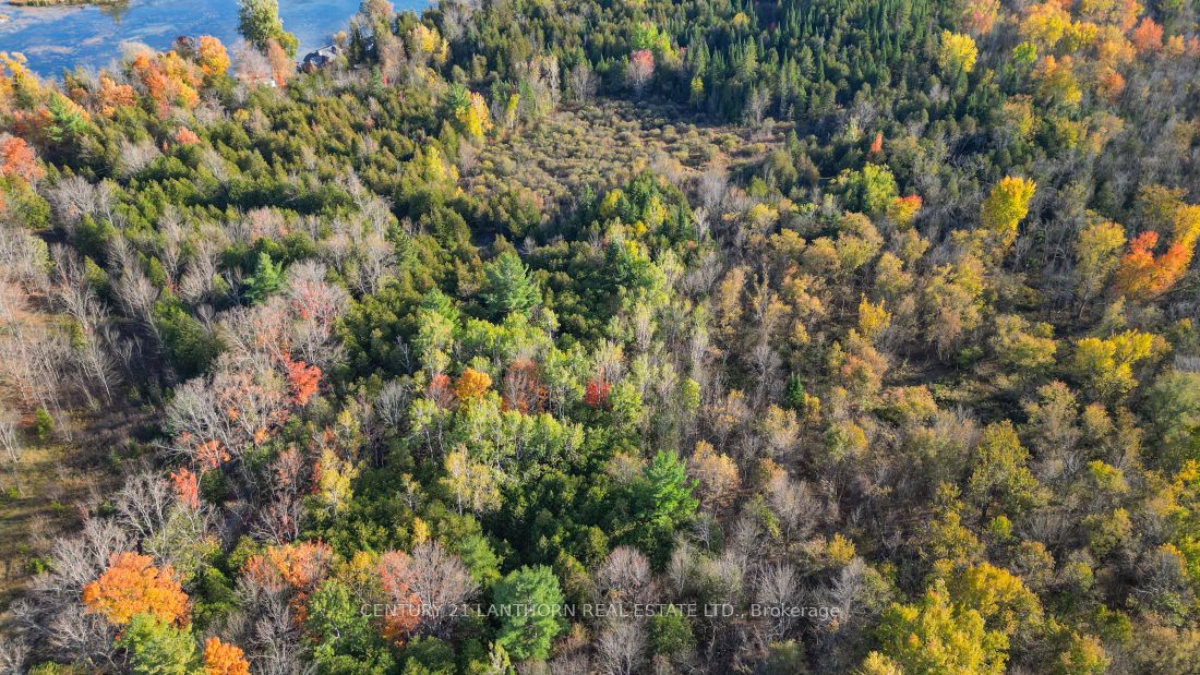 3 Acreman Road Property Photo 11