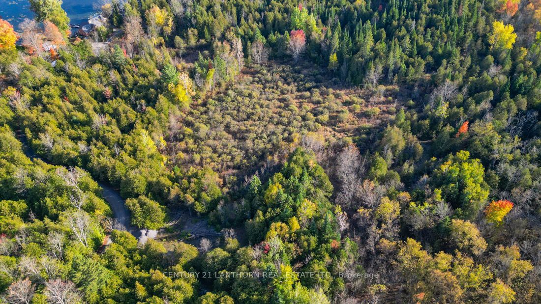 3 Acreman Road Property Photo 12