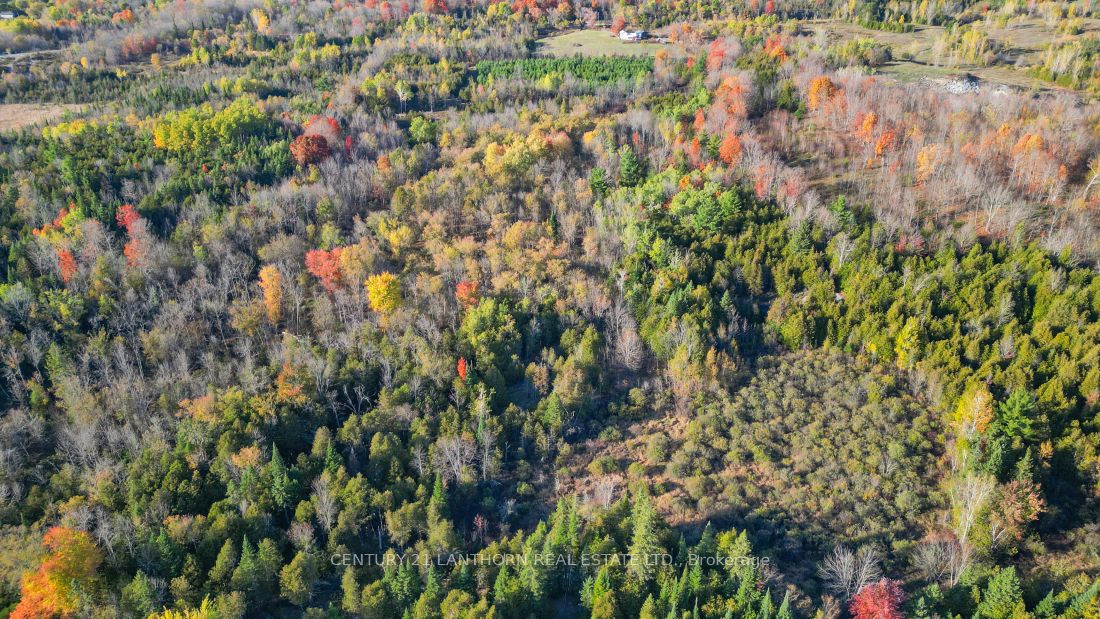 3 Acreman Road Property Photo 13