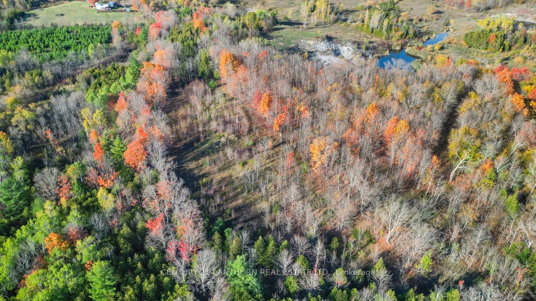 3 Acreman Road Property Photo 14