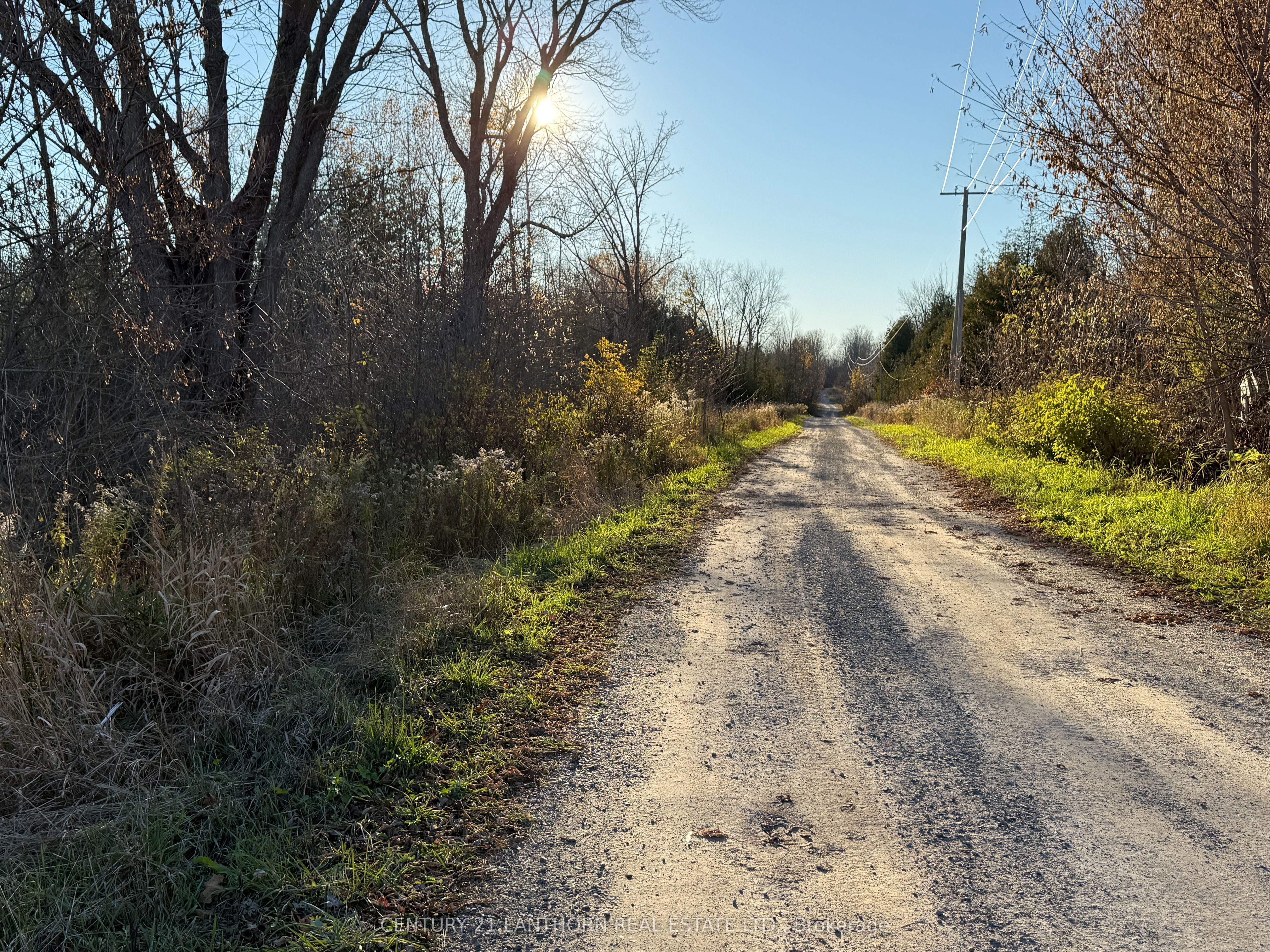 3 Acreman Road Property Photo 19