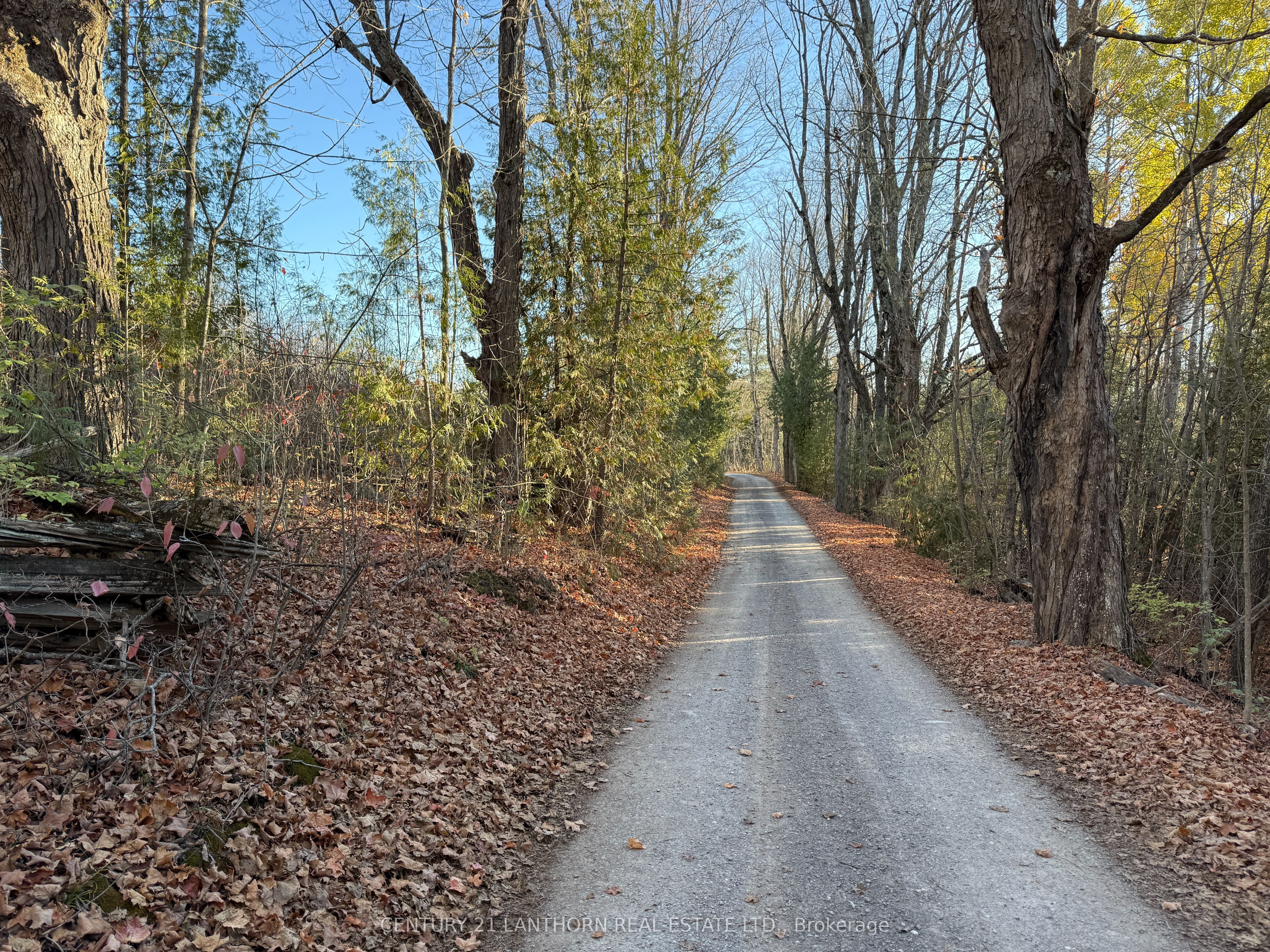 3 Acreman Road Property Photo 20