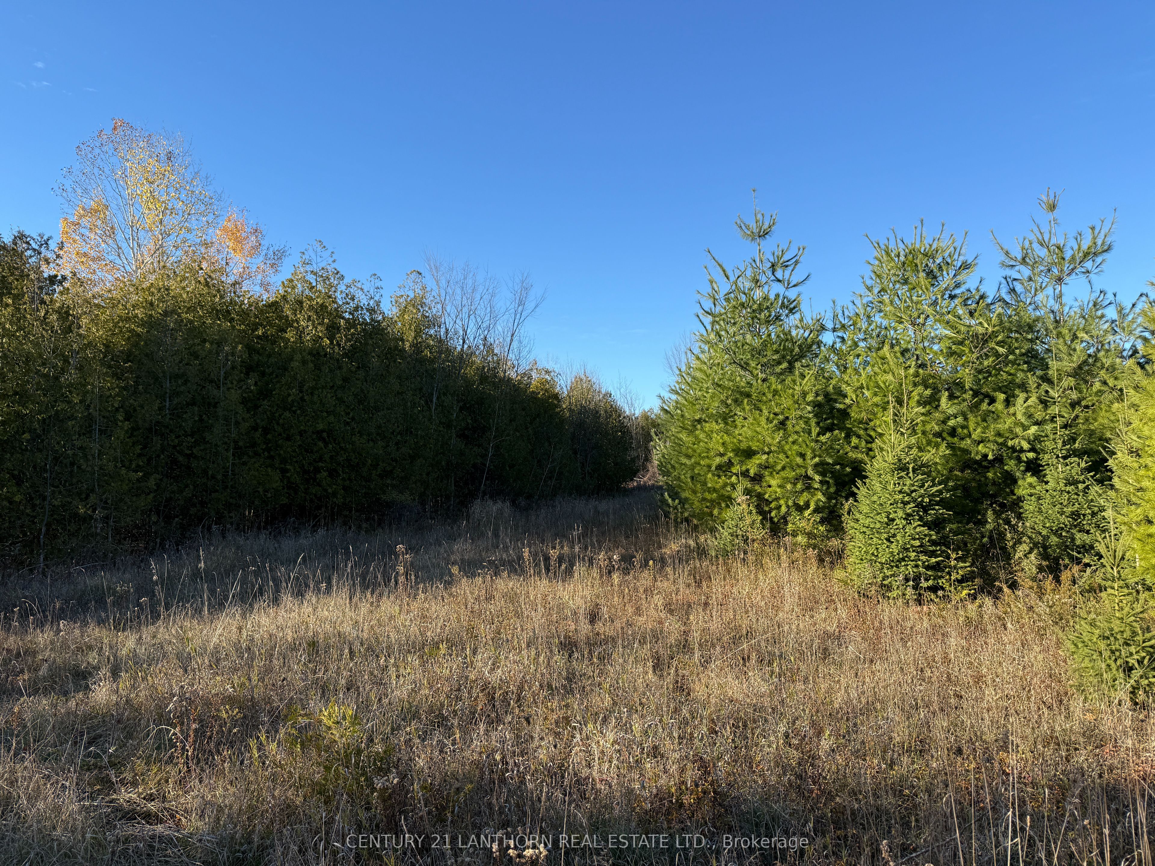 3 Acreman Road Property Photo 22