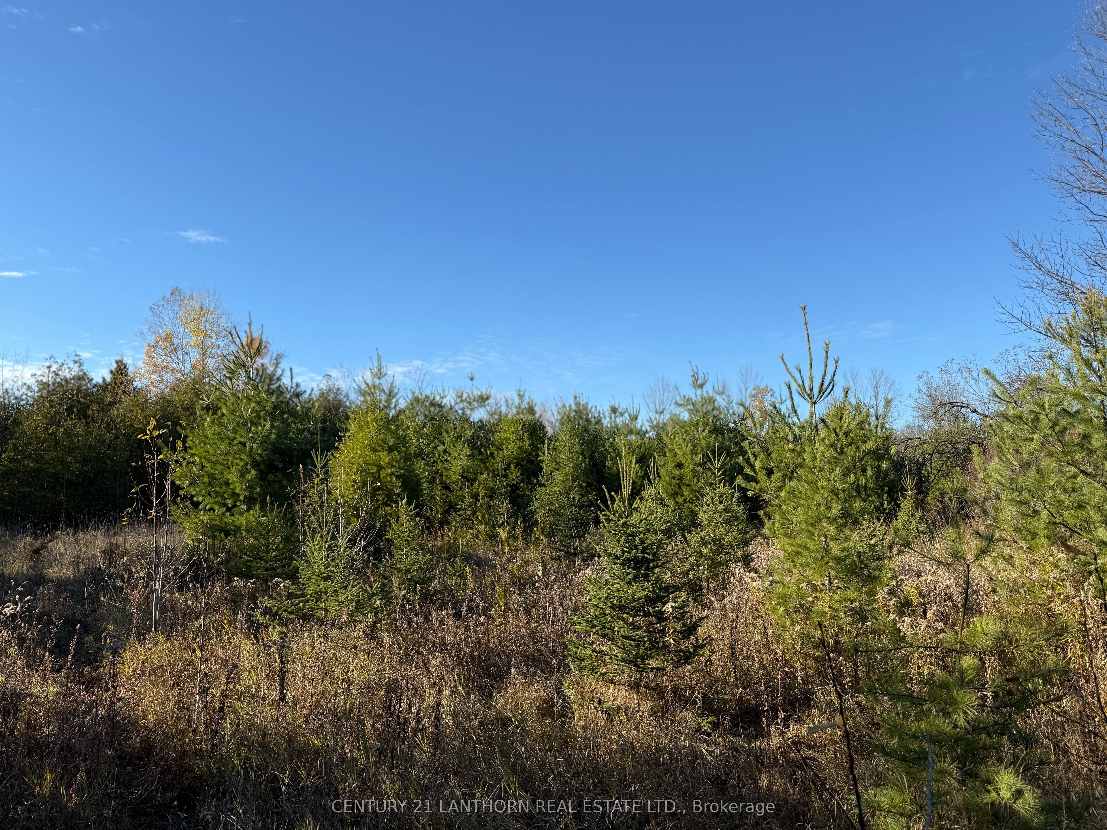 3 Acreman Road Property Photo 24