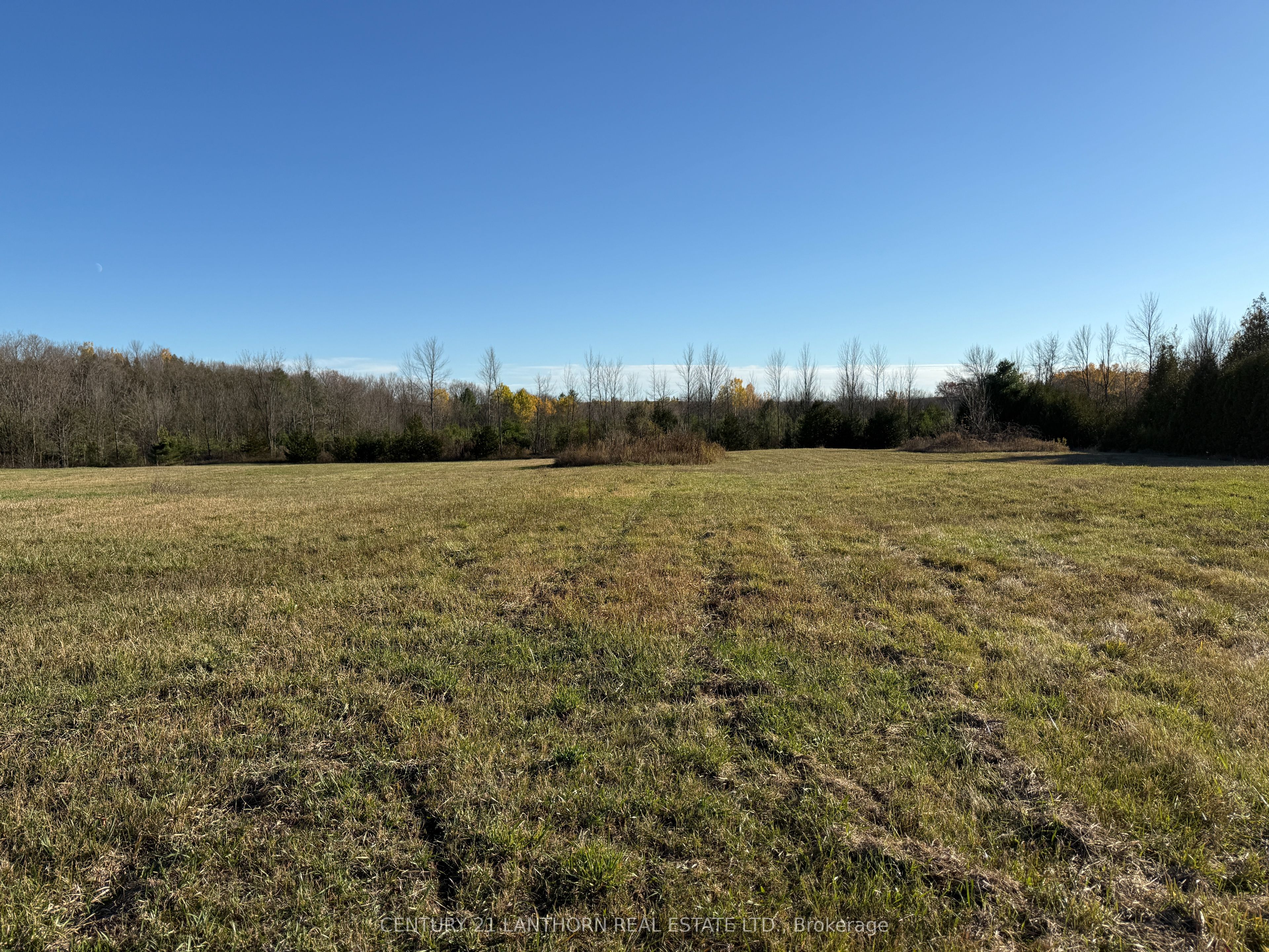 3 Acreman Road Property Photo 25