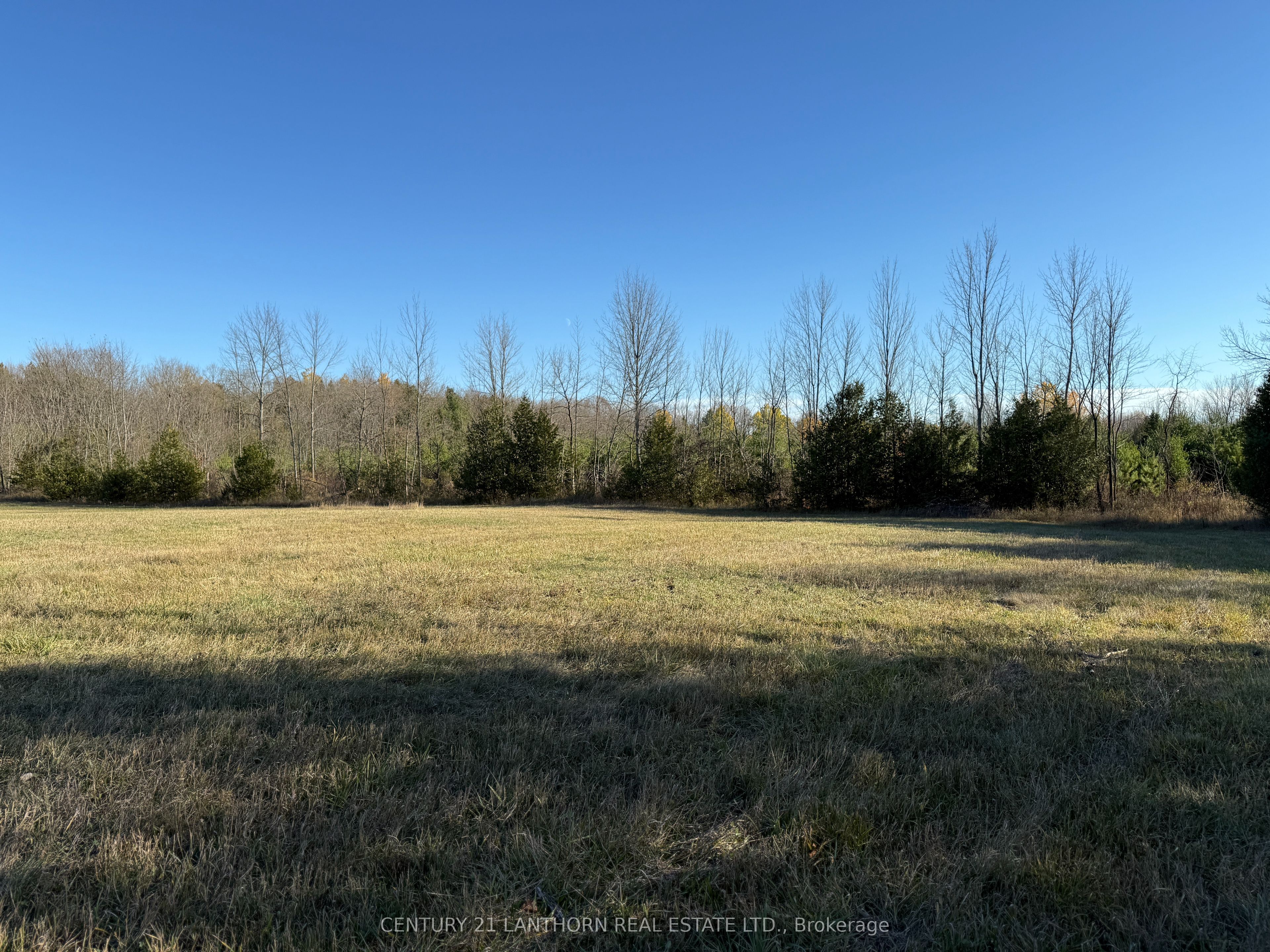 3 Acreman Road Property Photo 26