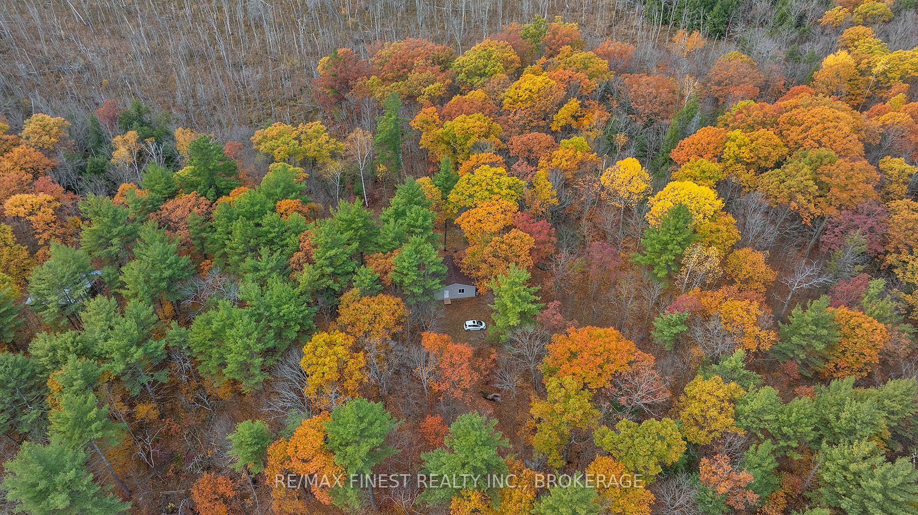 1131a Moon Road Property Photo 1