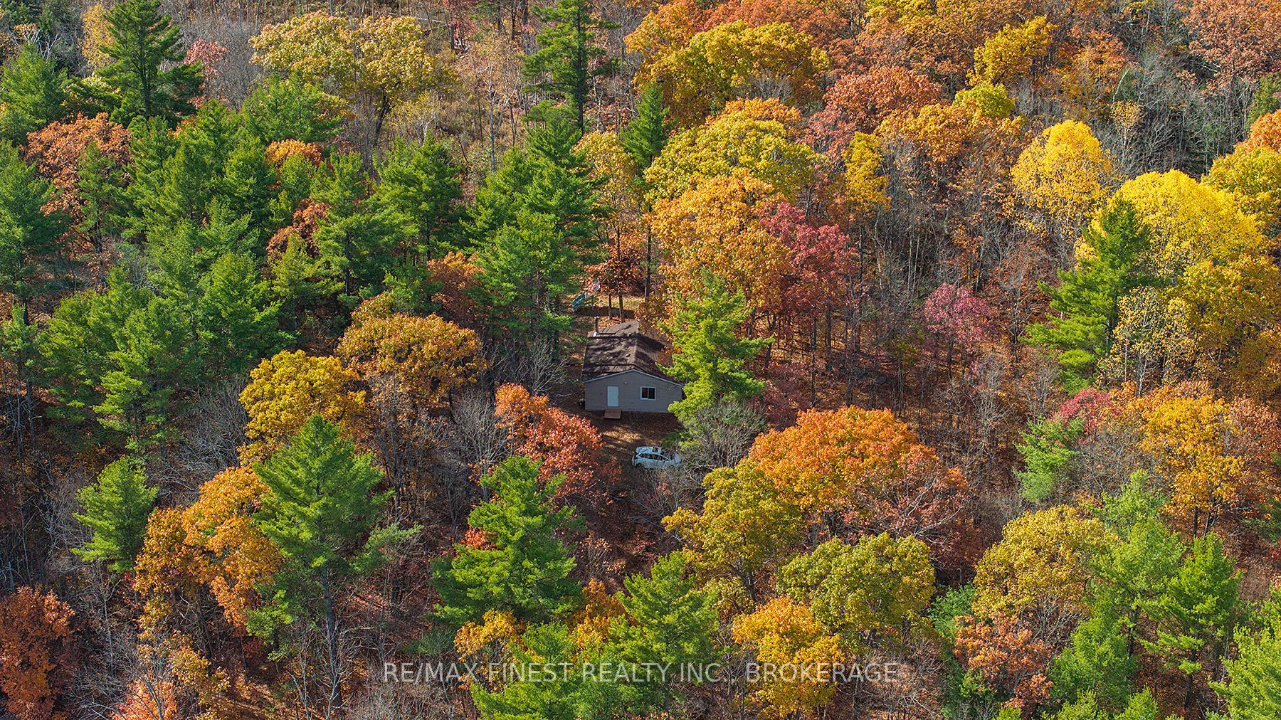 1131a Moon Road Property Photo 6