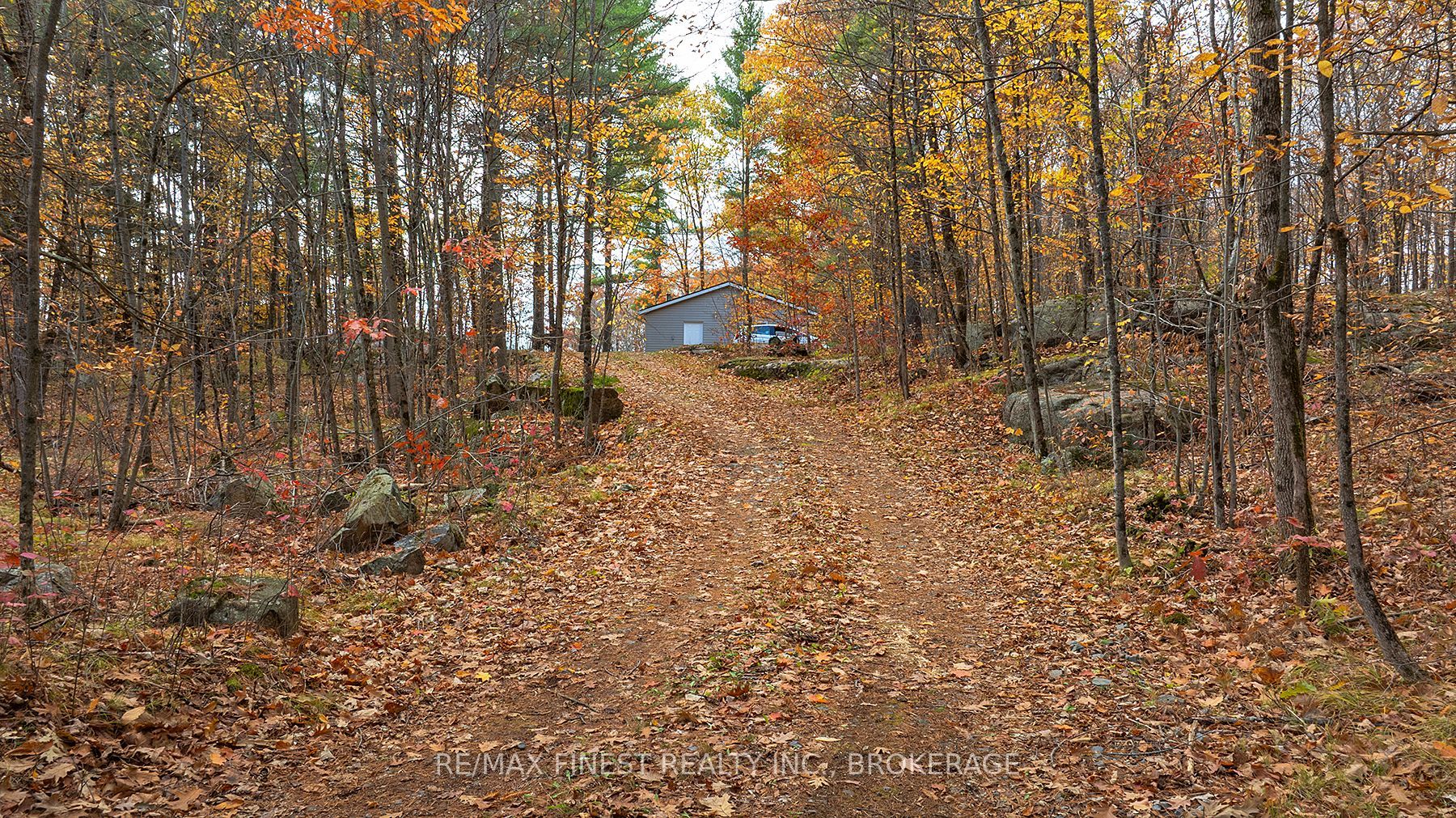 1131a Moon Road Property Photo 9