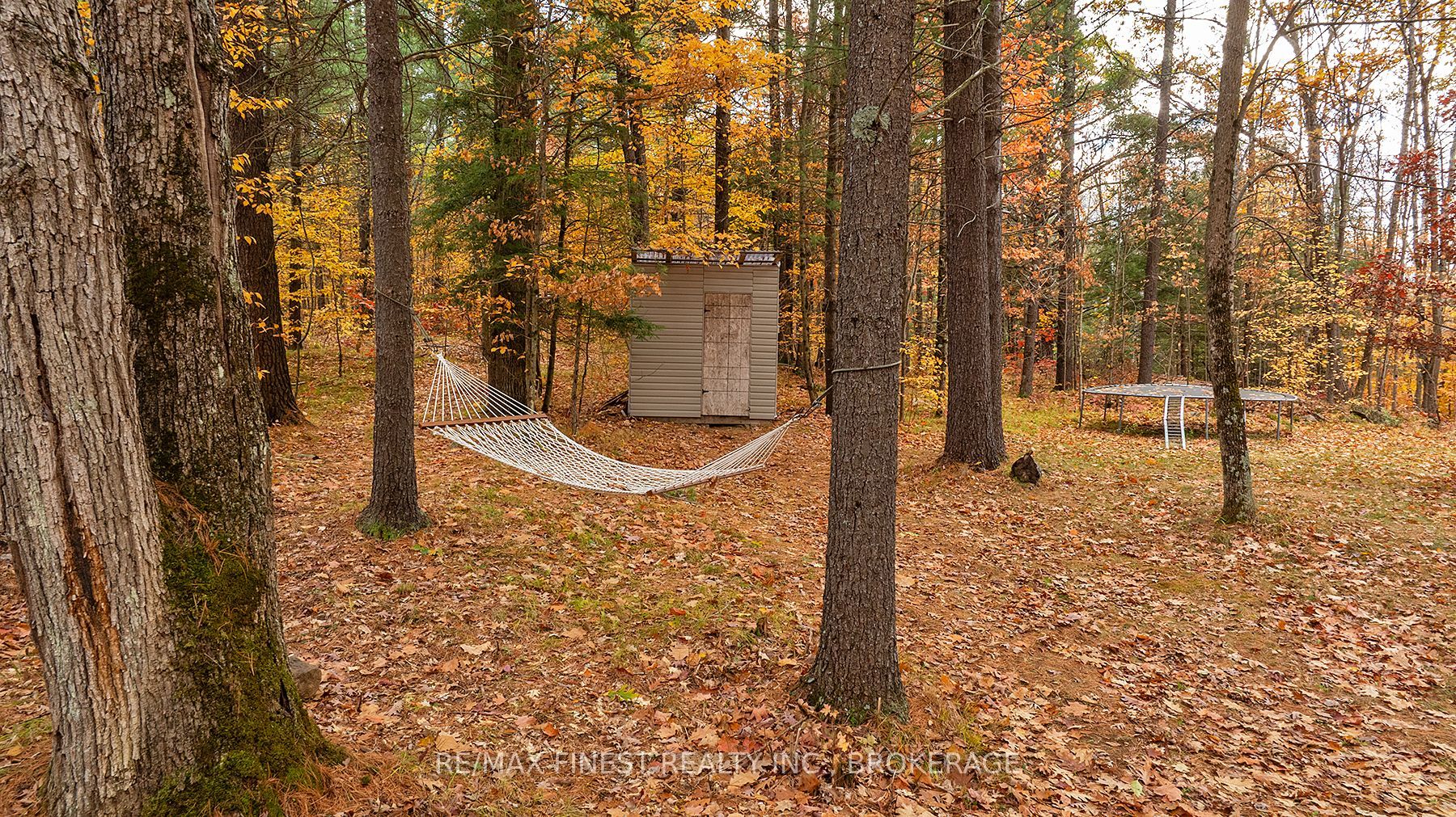 1131a Moon Road Property Photo 11