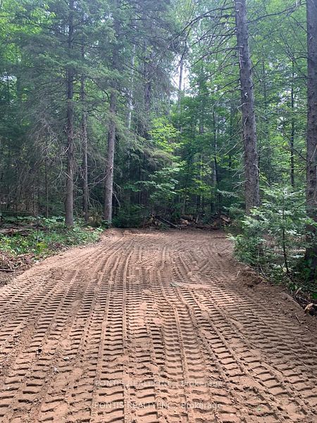 35 Almaguin Drive Property Photo 5