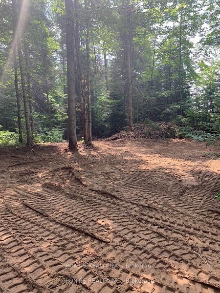 35 Almaguin Drive Property Photo 7