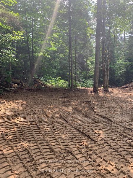 35 Almaguin Drive Property Photo 9