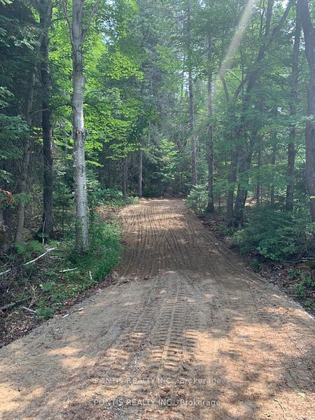 35 Almaguin Drive Property Photo 10