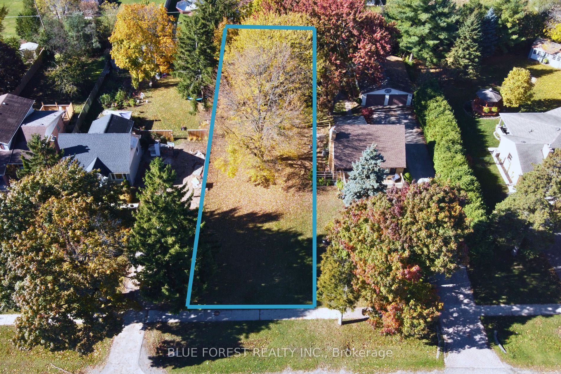 947 Dearness Drive Property Photo 2