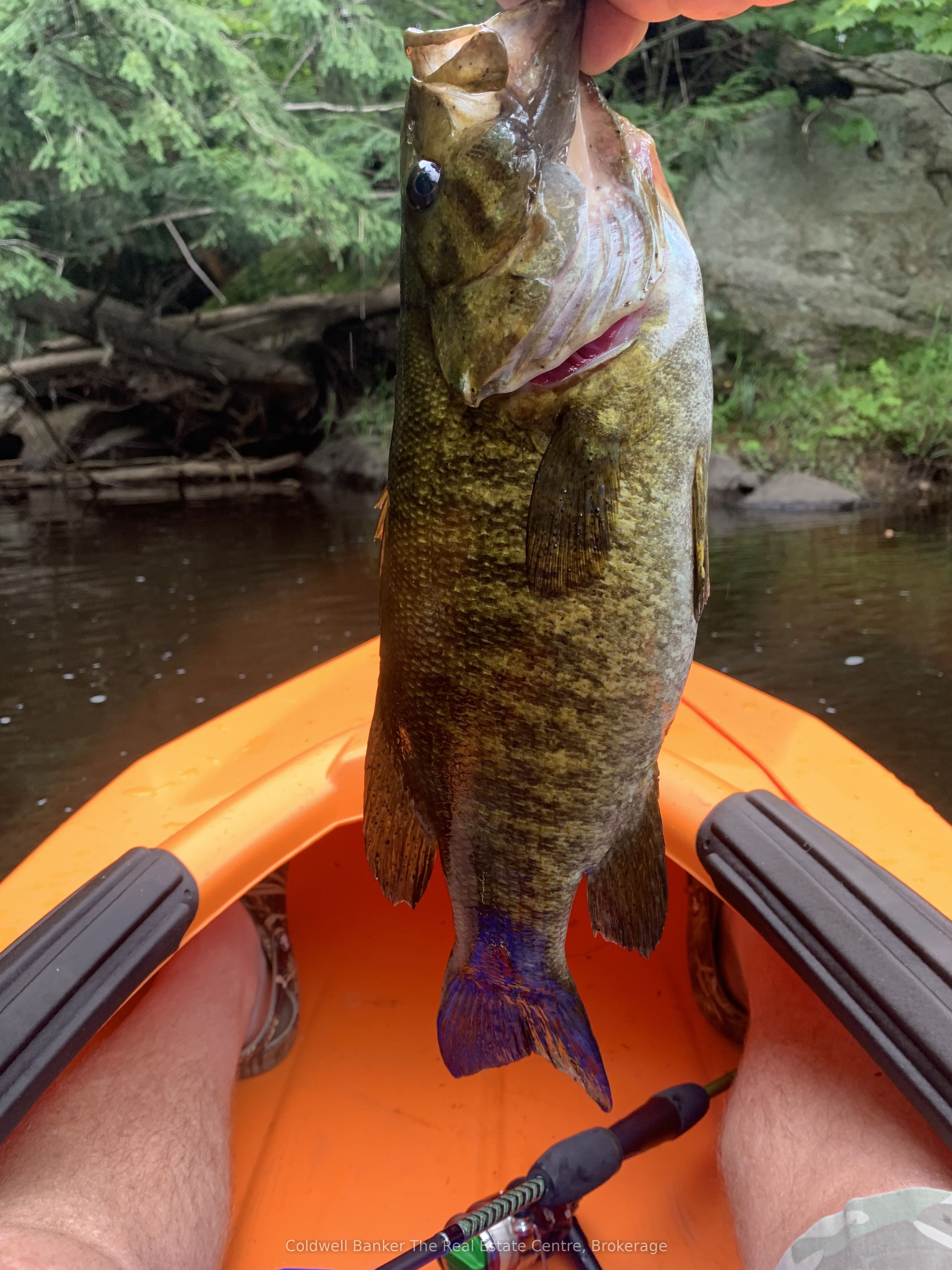 1517 Southwood Road Property Photo 3