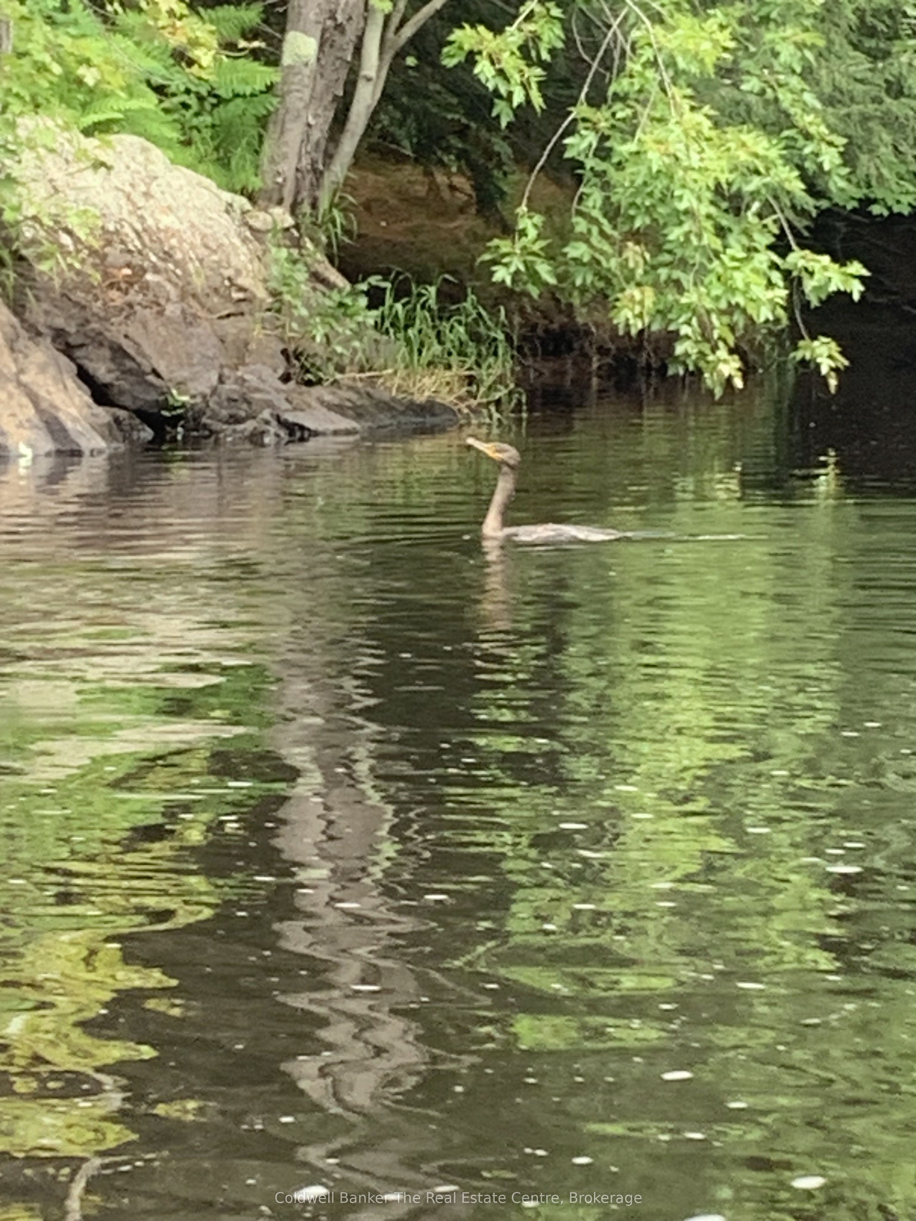 1517 Southwood Road Property Photo 4